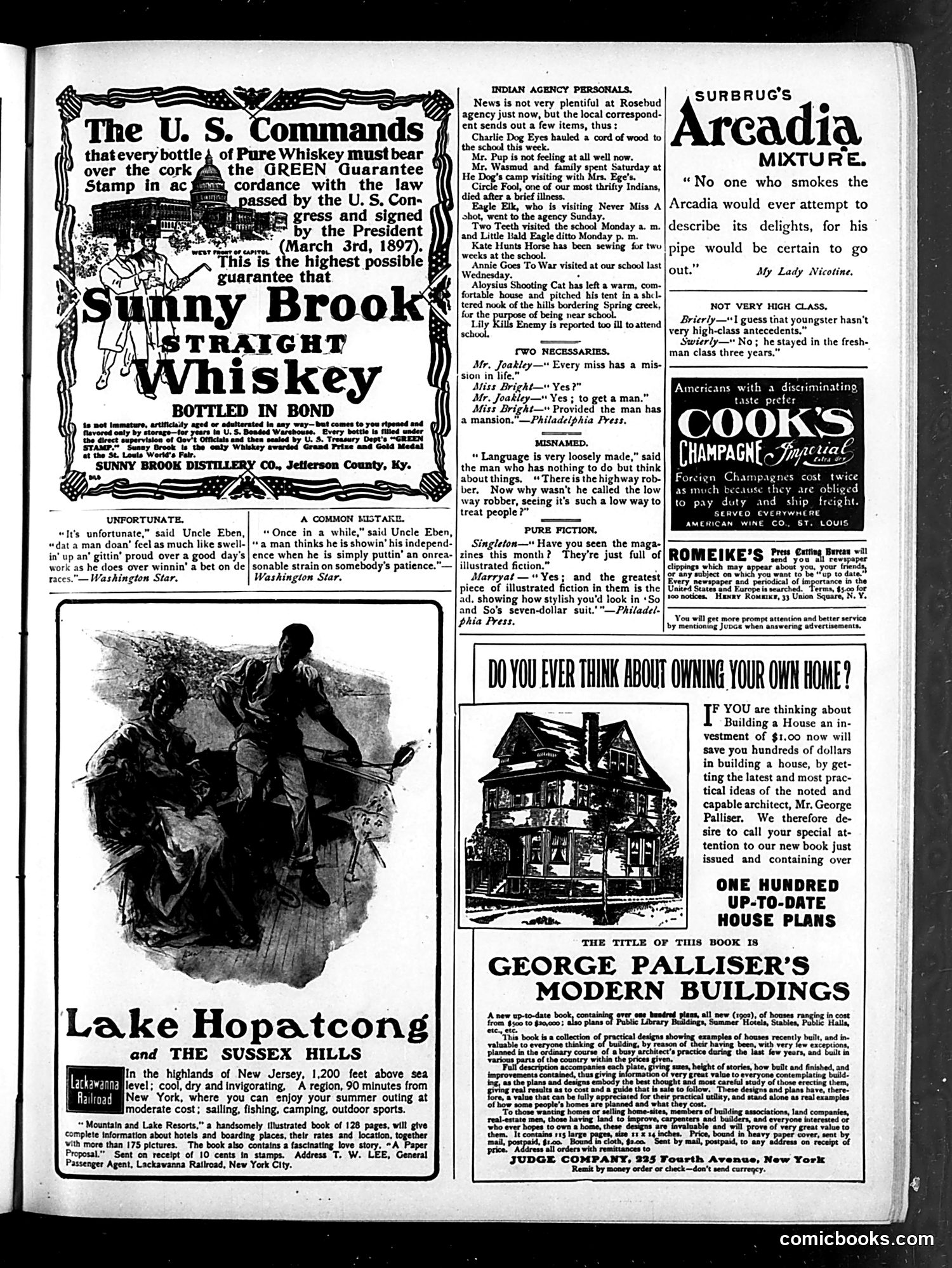 Judge — July 8, 1905 — page 17