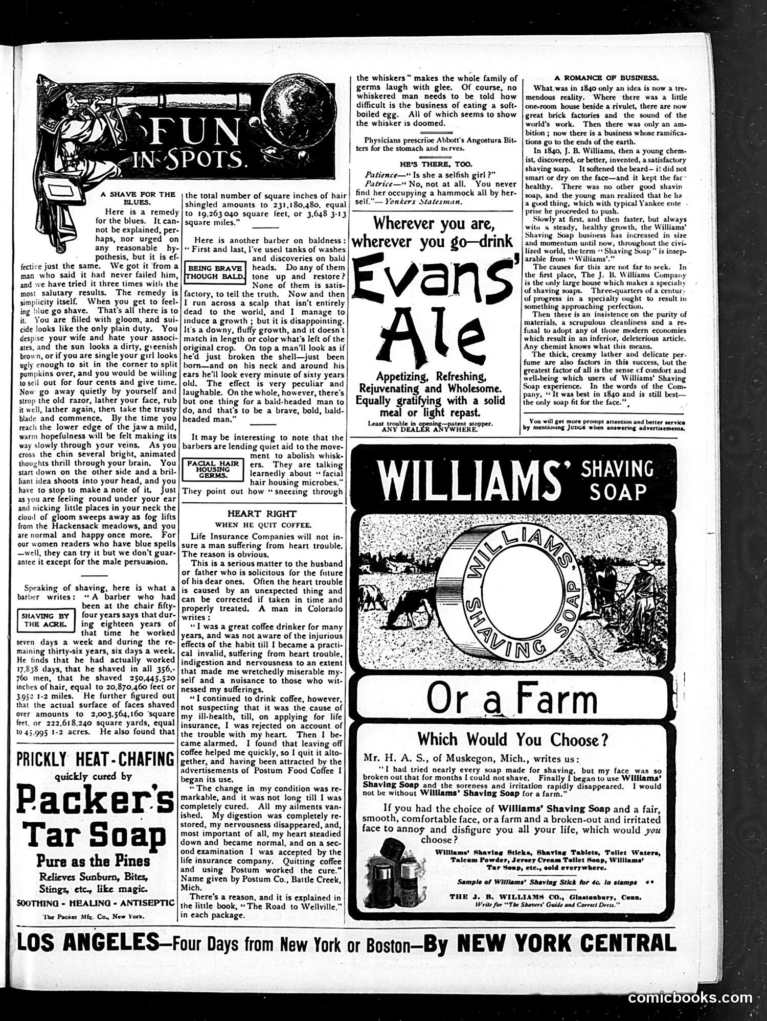 Judge — August 19, 1905 — page 11