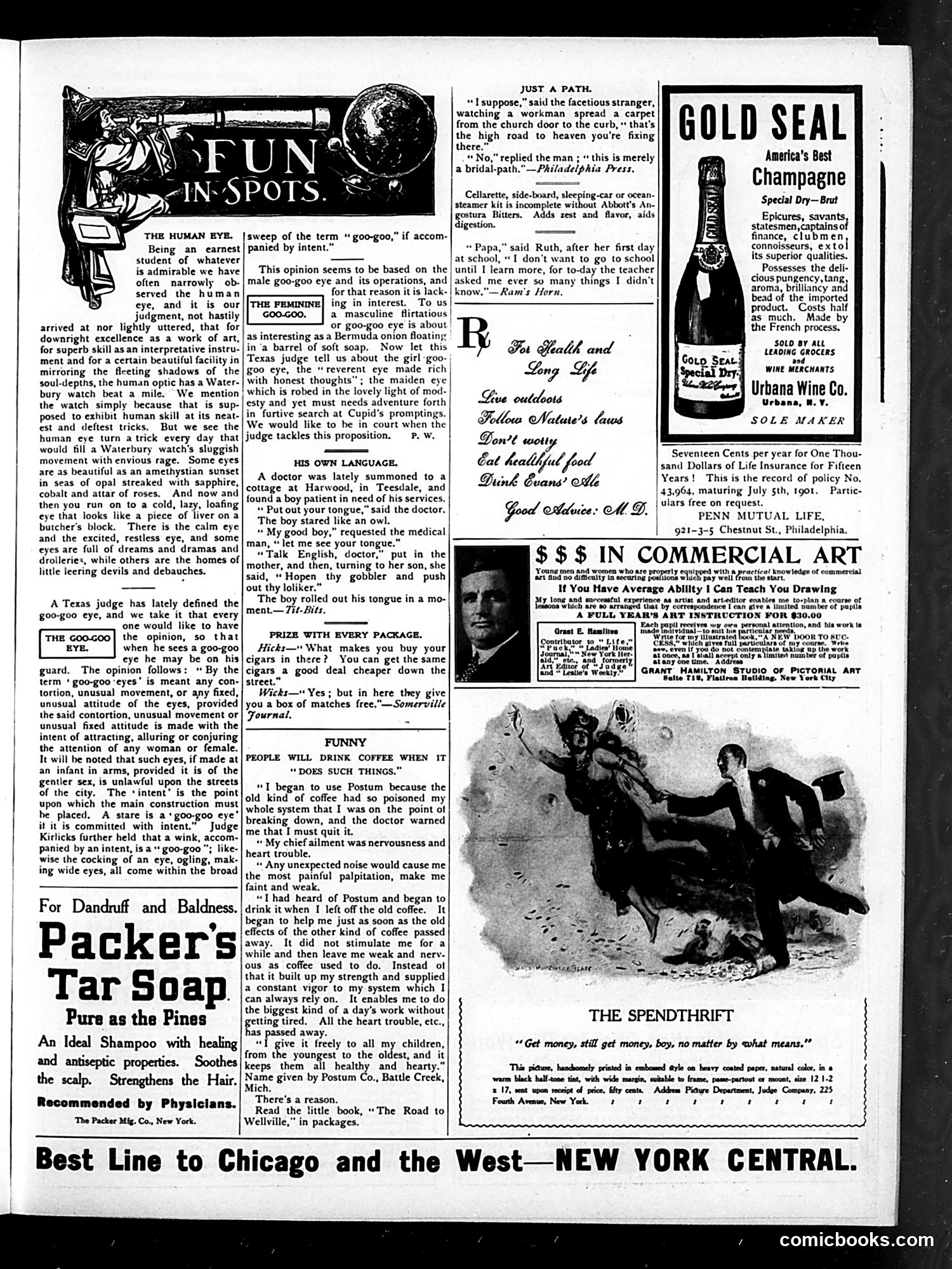 Judge — November 4, 1905 — page 11