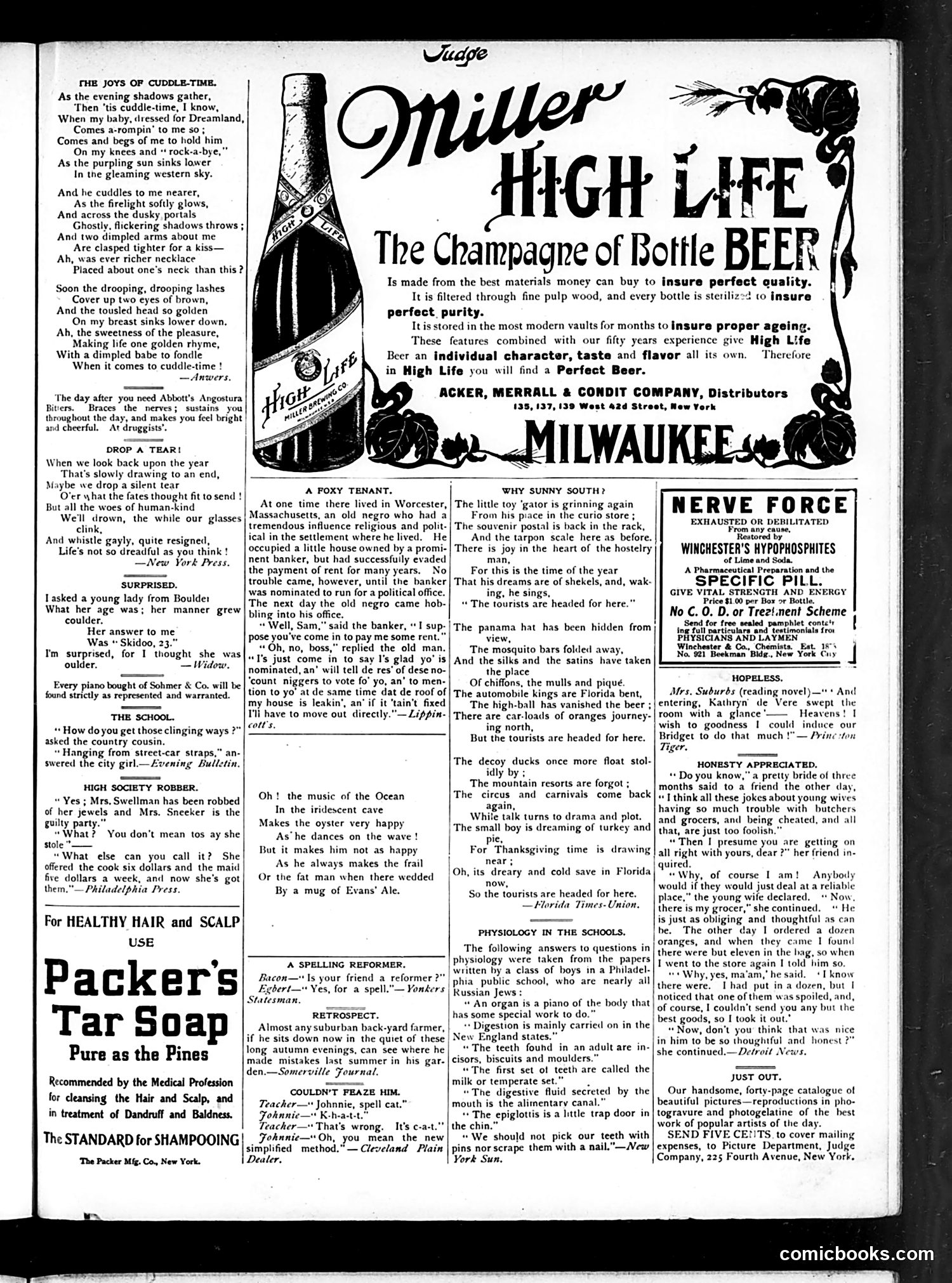 Judge — December 1, 1906 — page 11