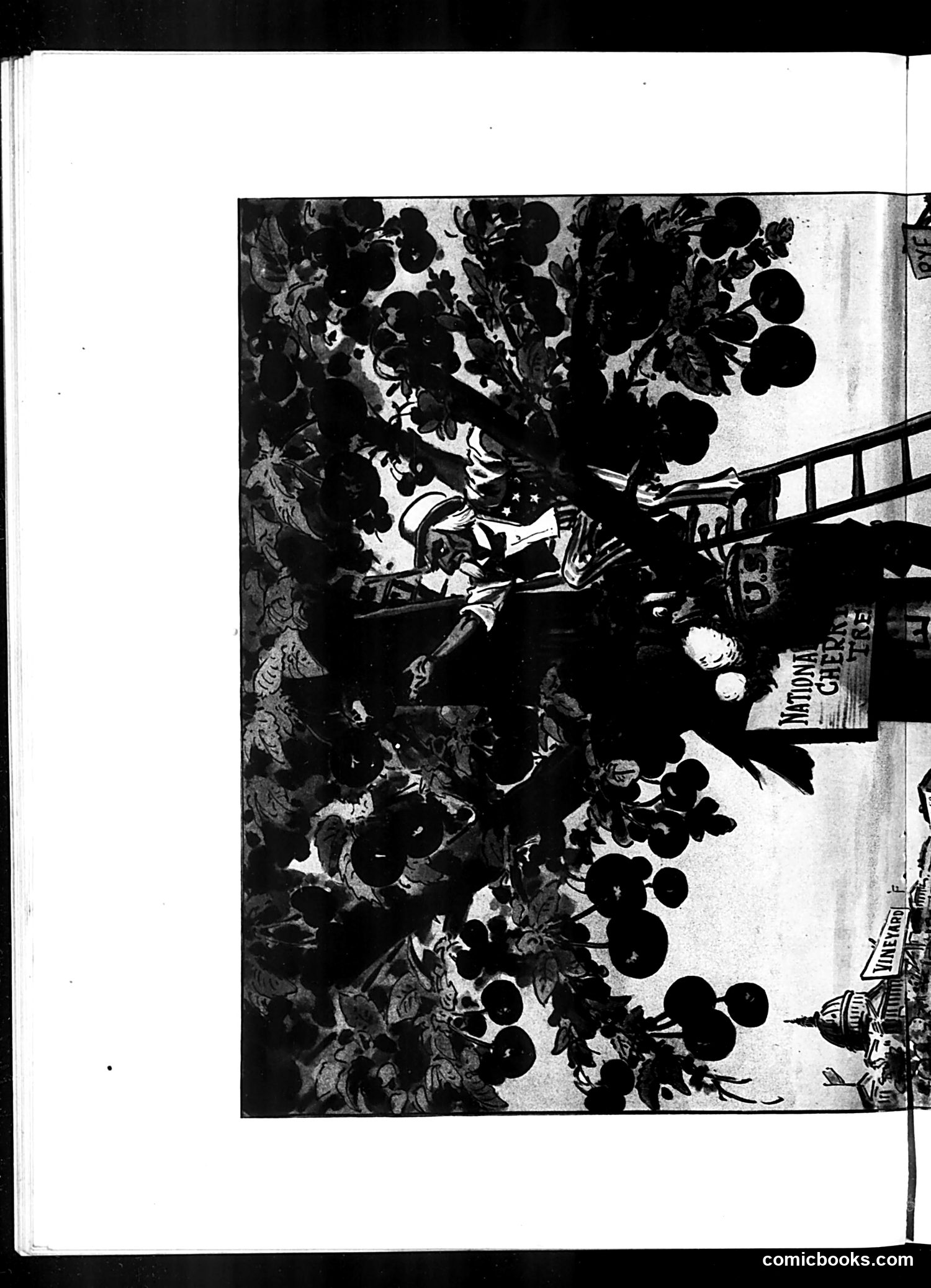 Judge — February 19, 1910 — page 8