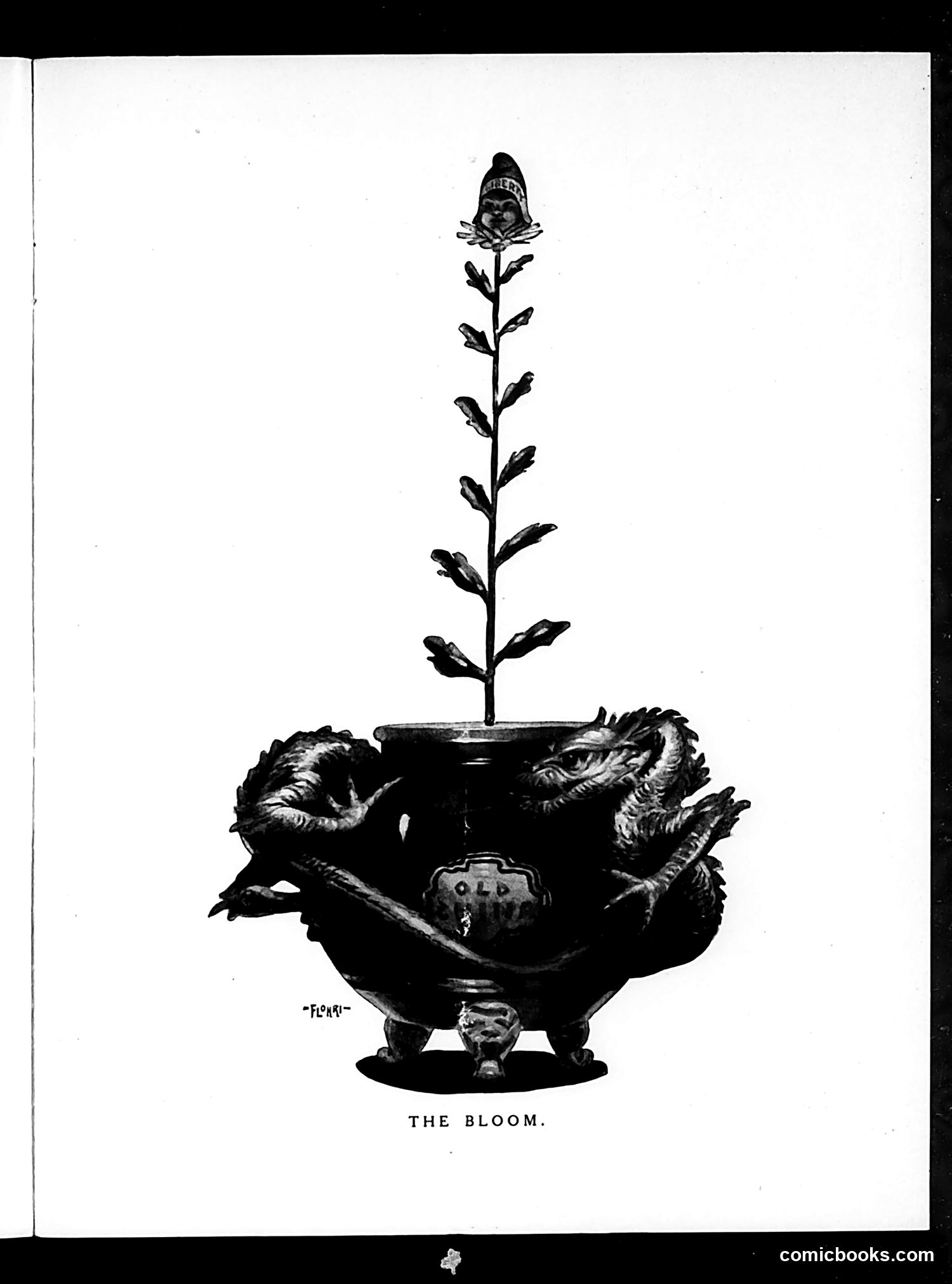 Judge — December 2, 1911 — page 11