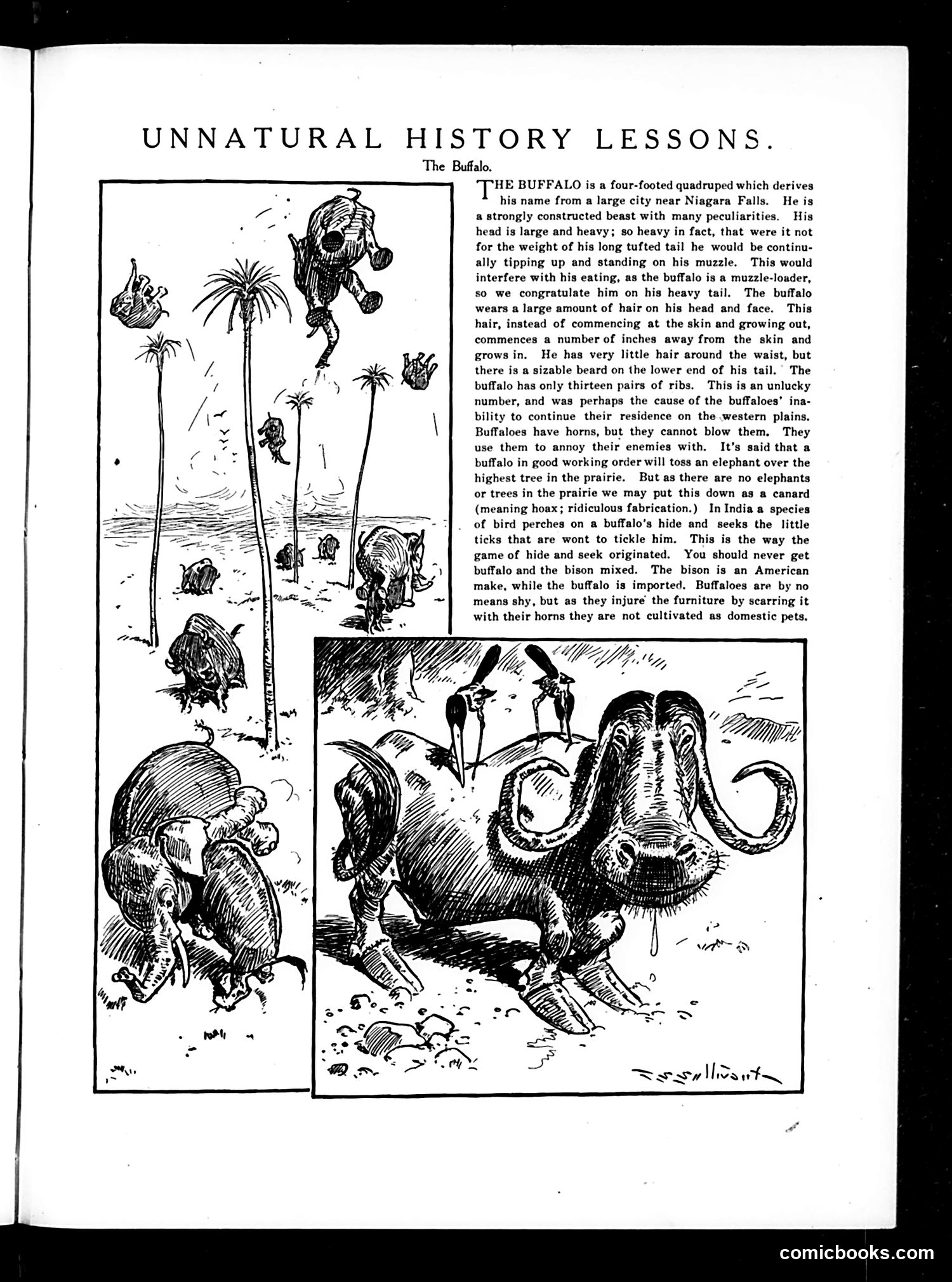 Judge — March 9, 1912 — page 17