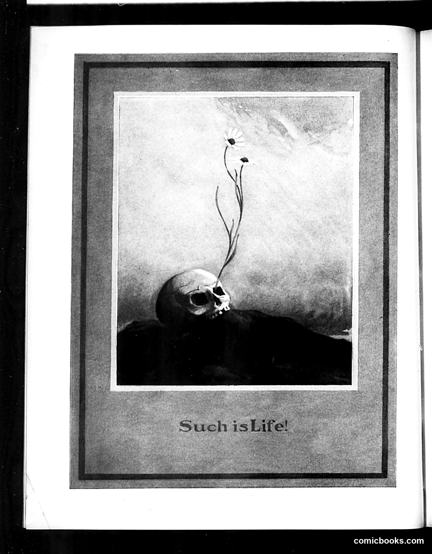Judge — July 25, 1914 — page 14