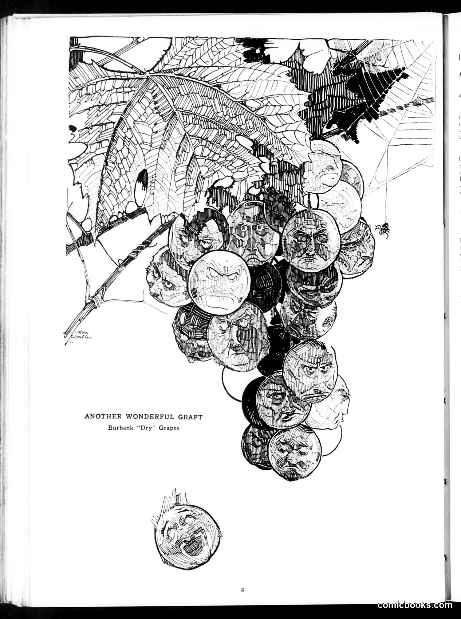 Judge — September 2, 1922 — page 10: Judge, 1922-09-02