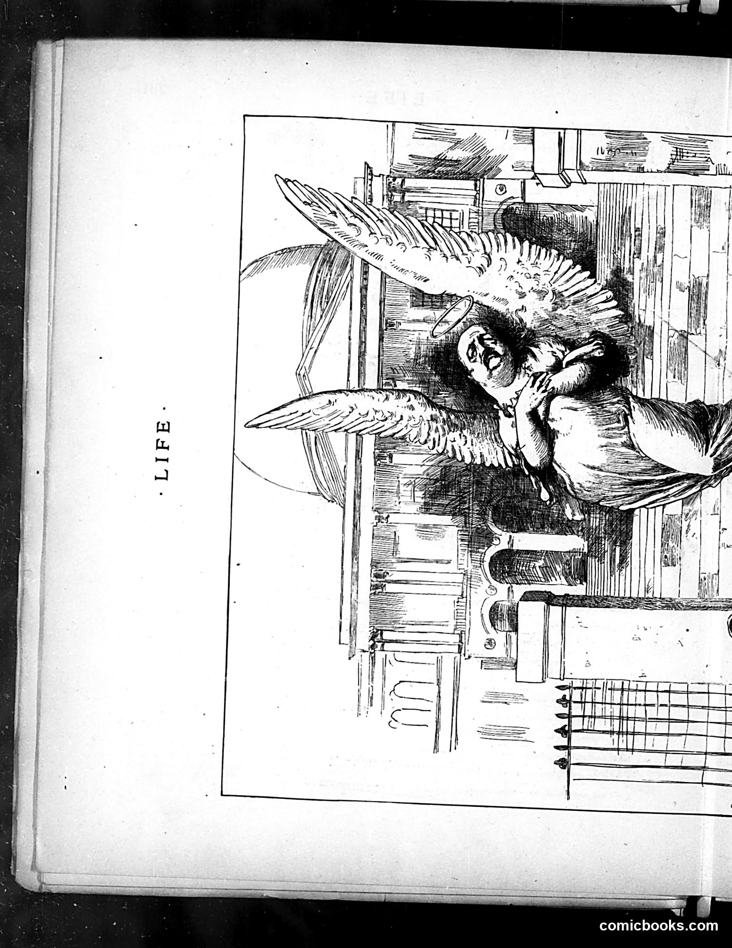 Life — June 14, 1883 — page 8: Life, 1883-06-14