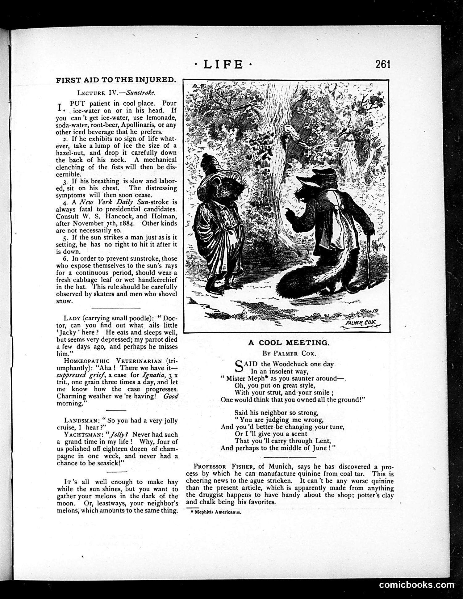 Life — November 22, 1883 — page 7: Life, 1883-11-22
