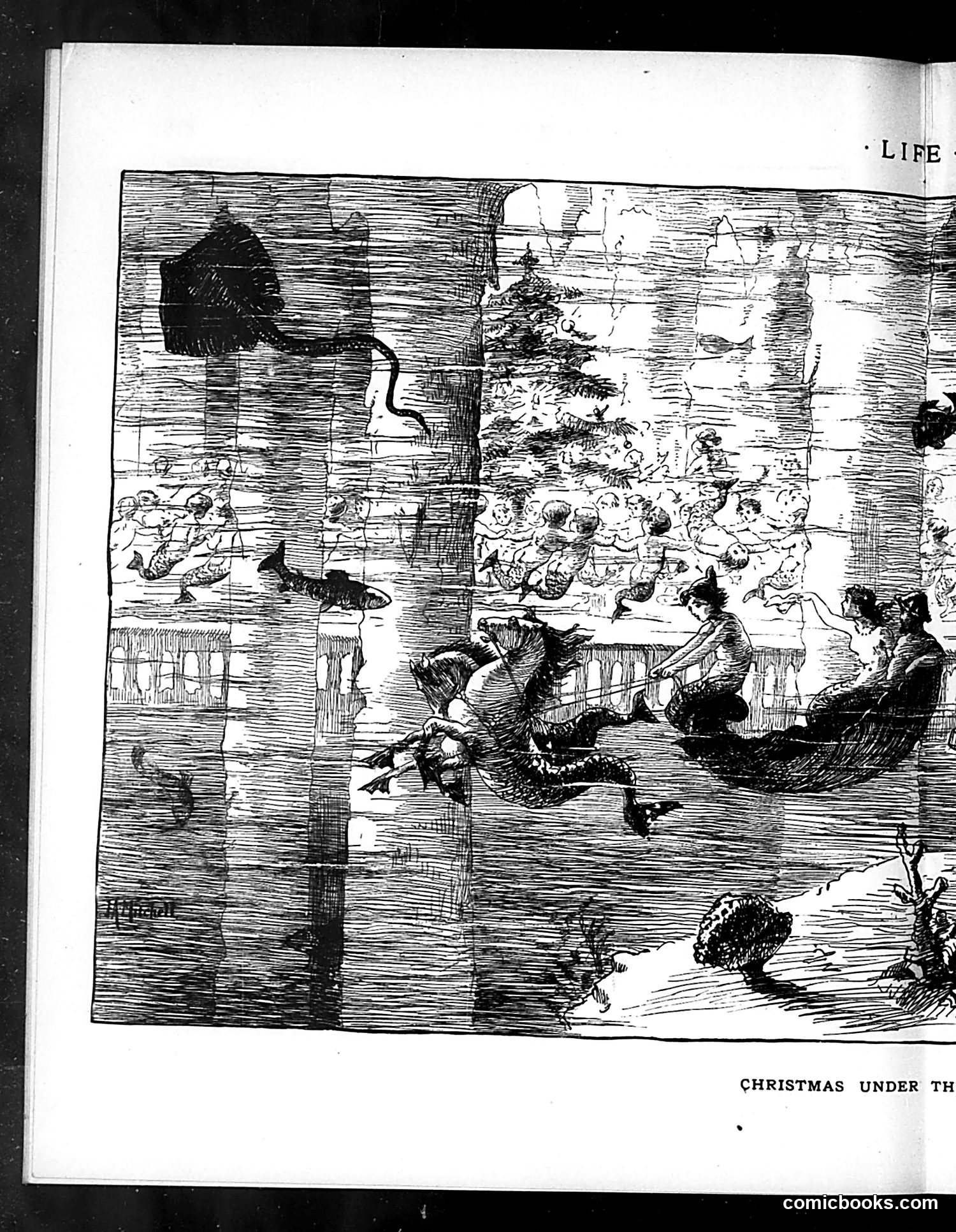 Life — December 20, 1883 — page 12: Life, 1883-12-20