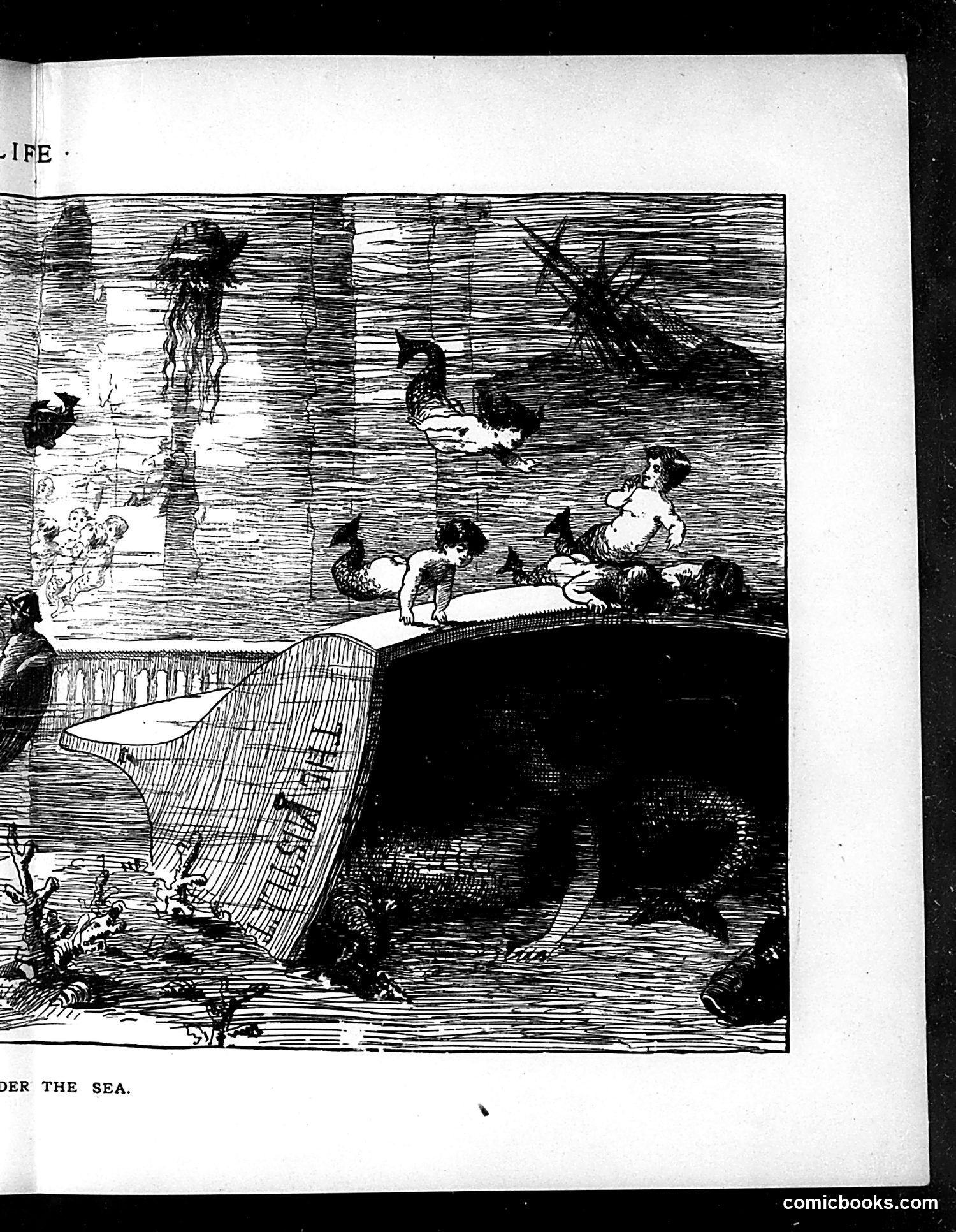 Life — December 20, 1883 — page 13: Life, 1883-12-20