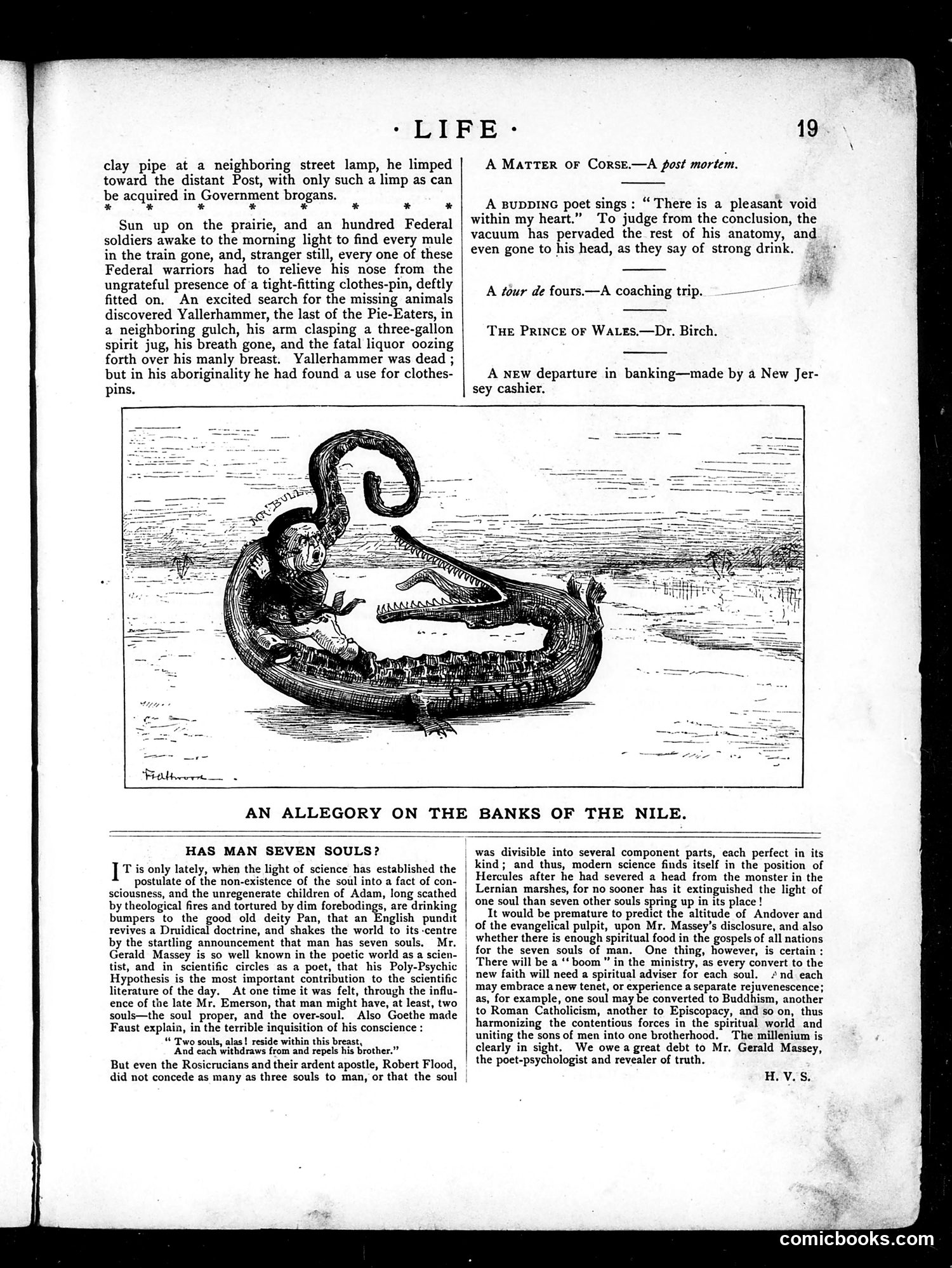 Life — January 10, 1884 — page 5: Life, 1884-01-10