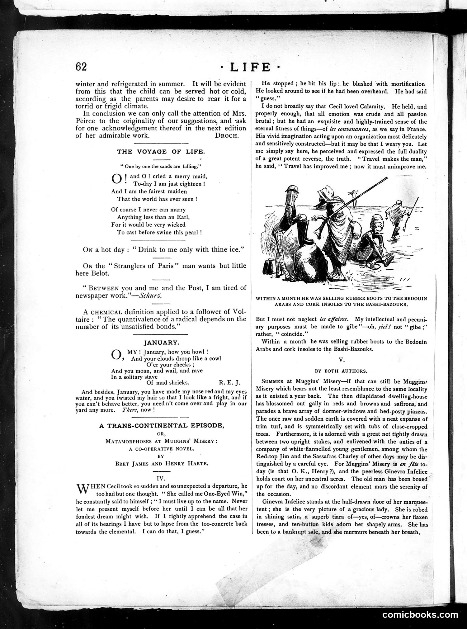Life — January 31, 1884 — page 8: Life, 1884-01-31