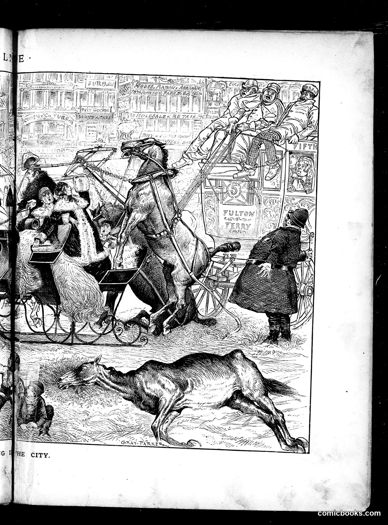 Life — January 31, 1884 — page 11: Life, 1884-01-31