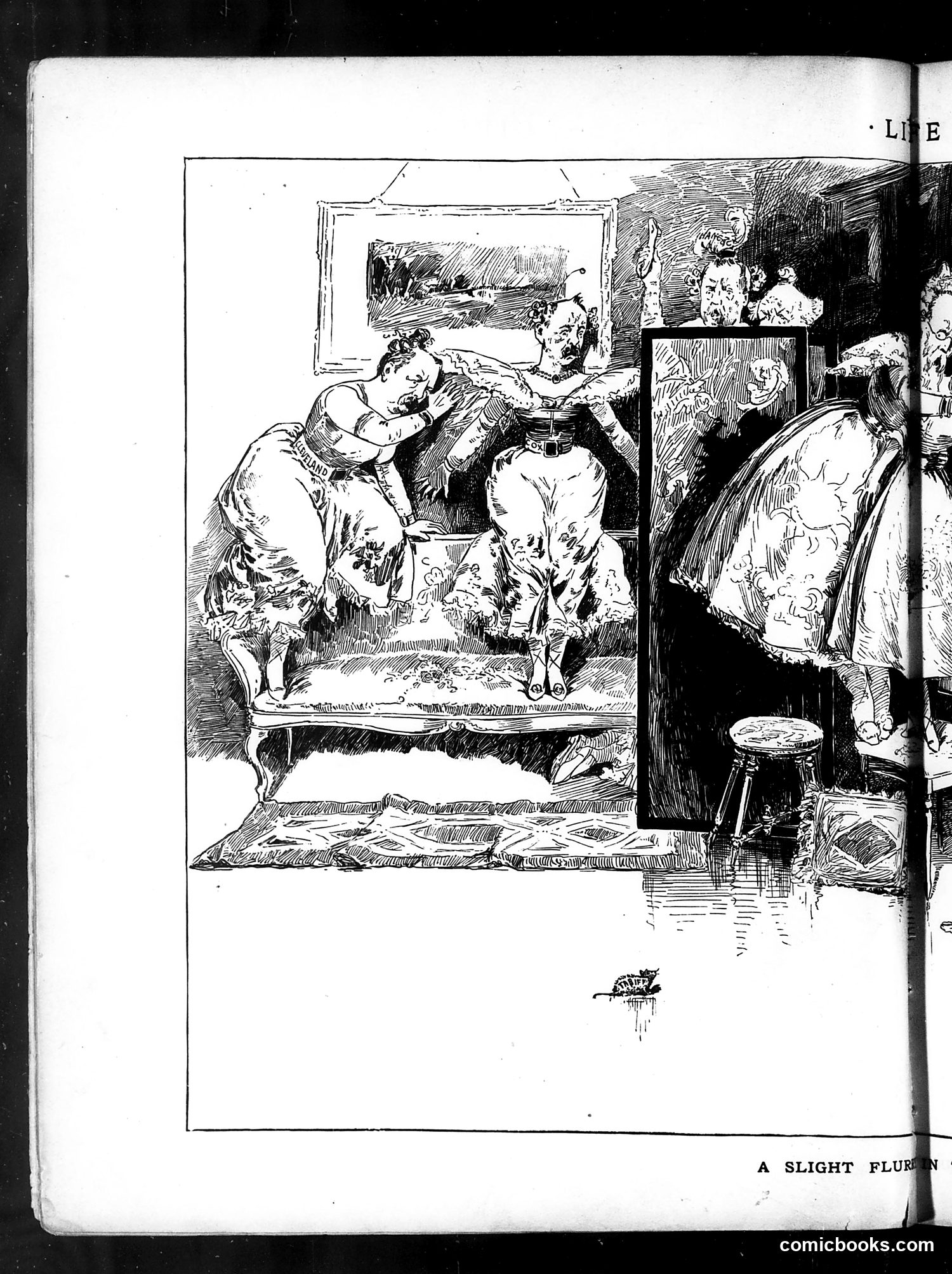 Life — February 7, 1884 — page 8: Life, 1884-02-07