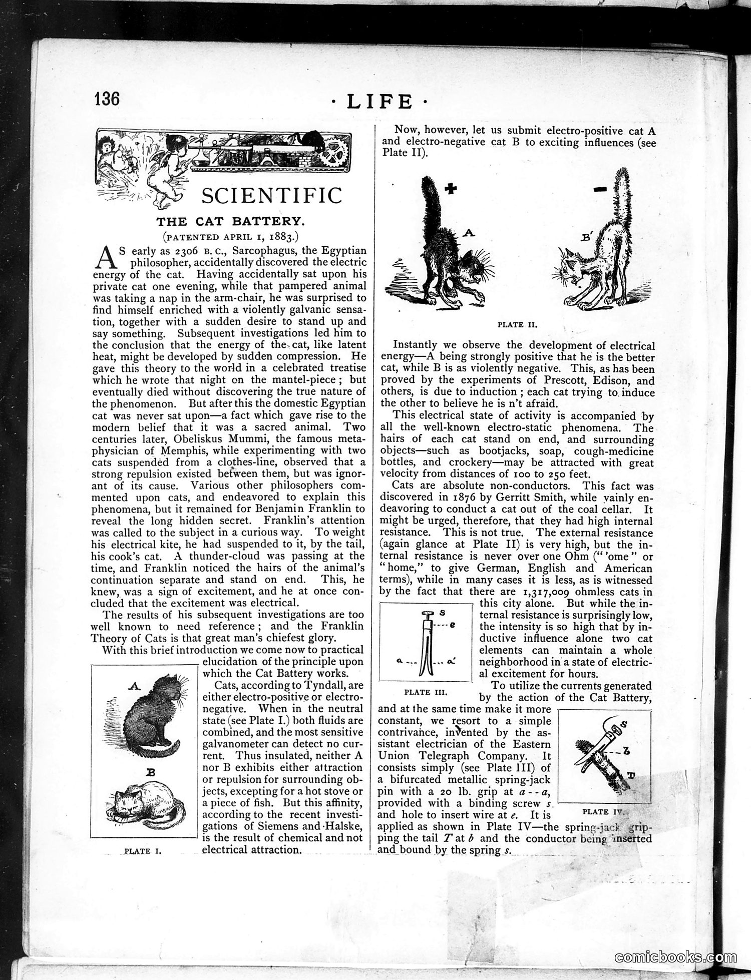 Life — March 6, 1884 — page 10: Life, 1884-03-06