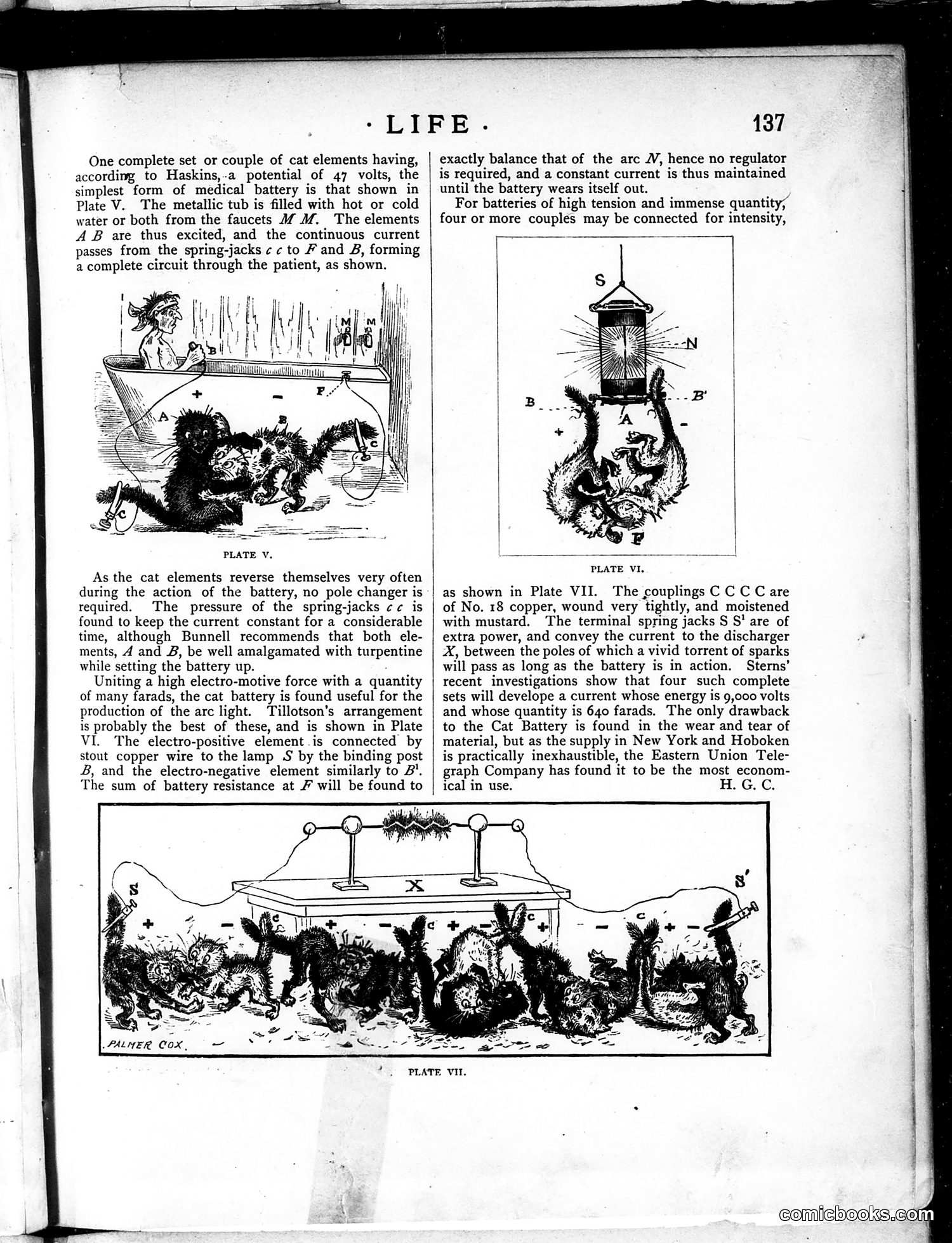 Life — March 6, 1884 — page 11: Life, 1884-03-06