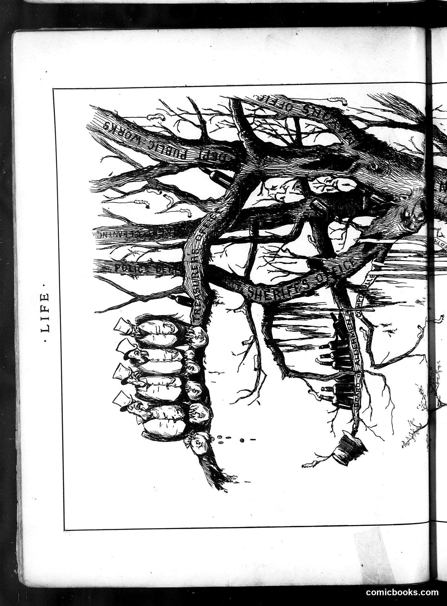 Life — April 17, 1884 — page 8: Life, 1884-04-17