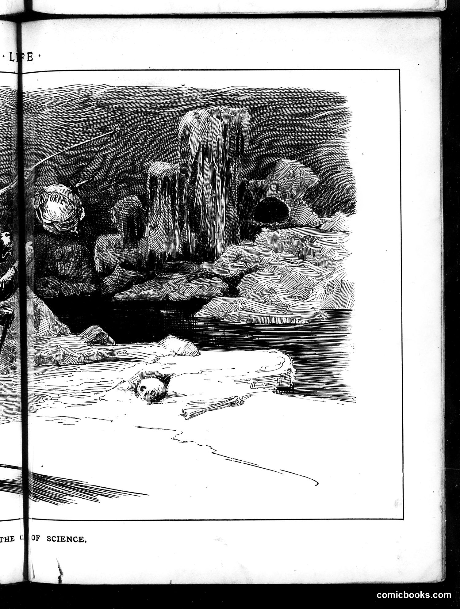 Life — May 1, 1884 — page 9: Life, 1884-05-01