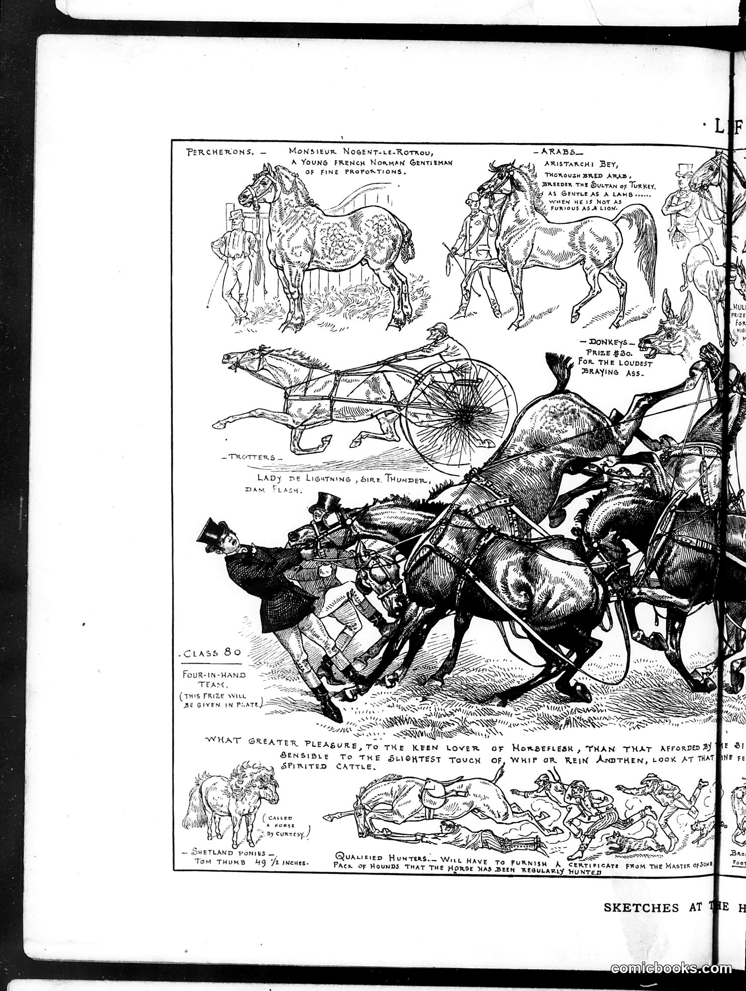 Life — May 29, 1884 — page 8: Life, 1884-05-29