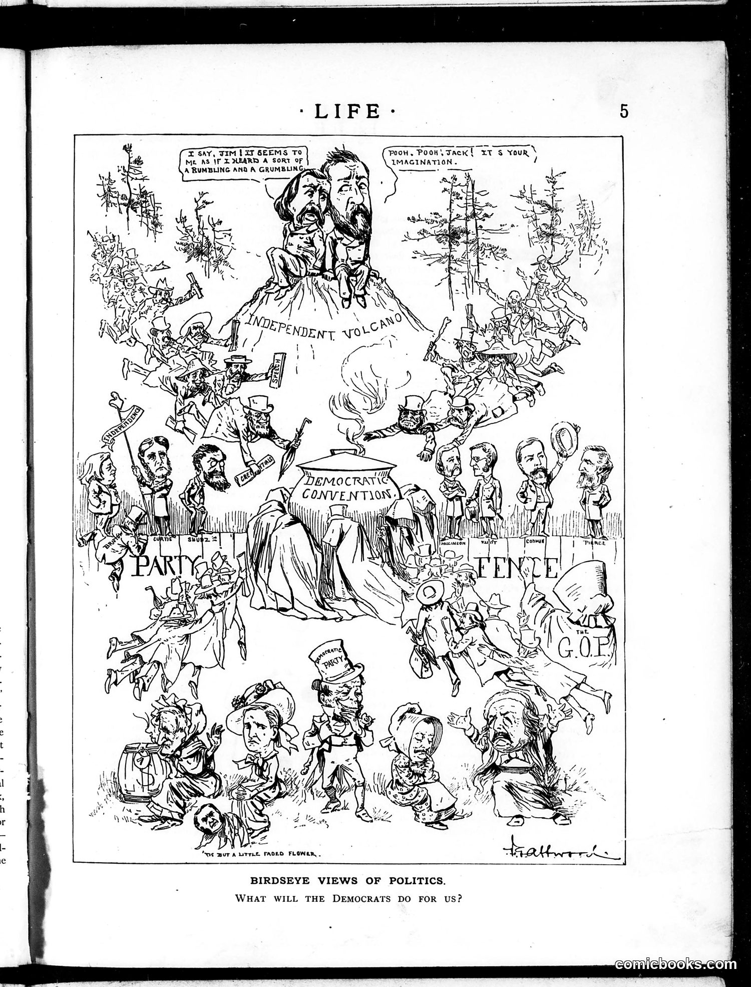 Life — July 3, 1884 — page 5: Life, 1884-07-03