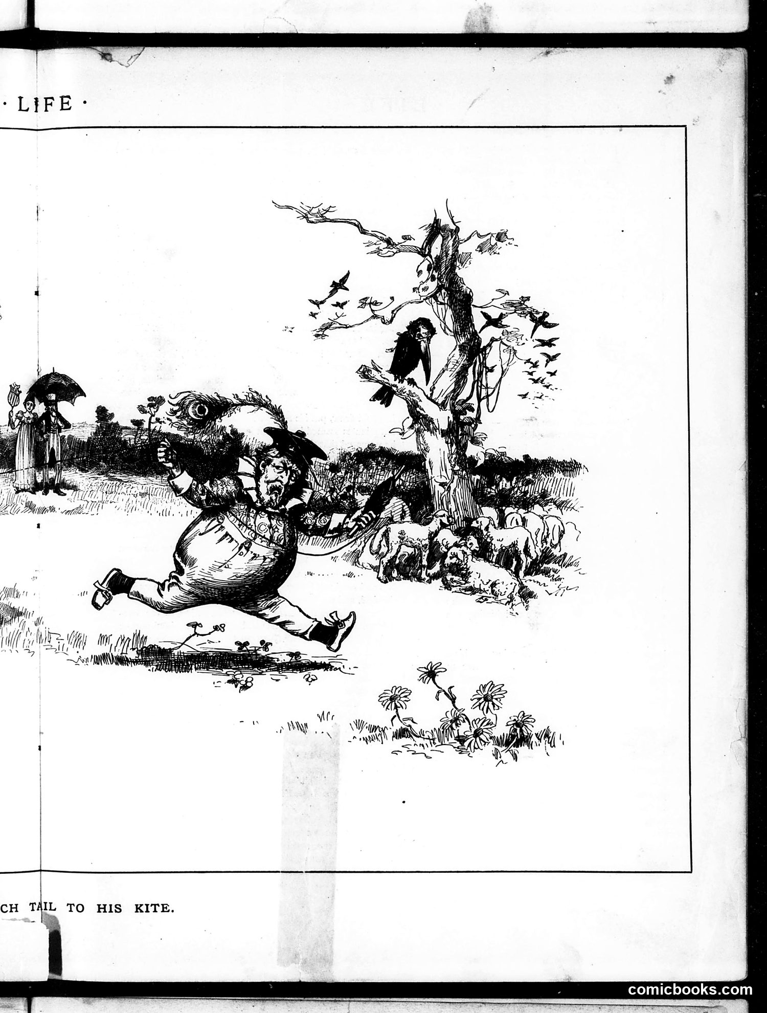 Life — July 31, 1884 — page 9: Life, 1884-07-31