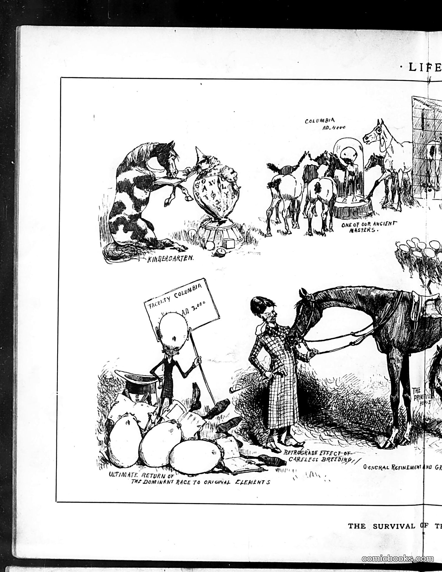 Life — August 7, 1884 — page 8: Life, 1884-08-07