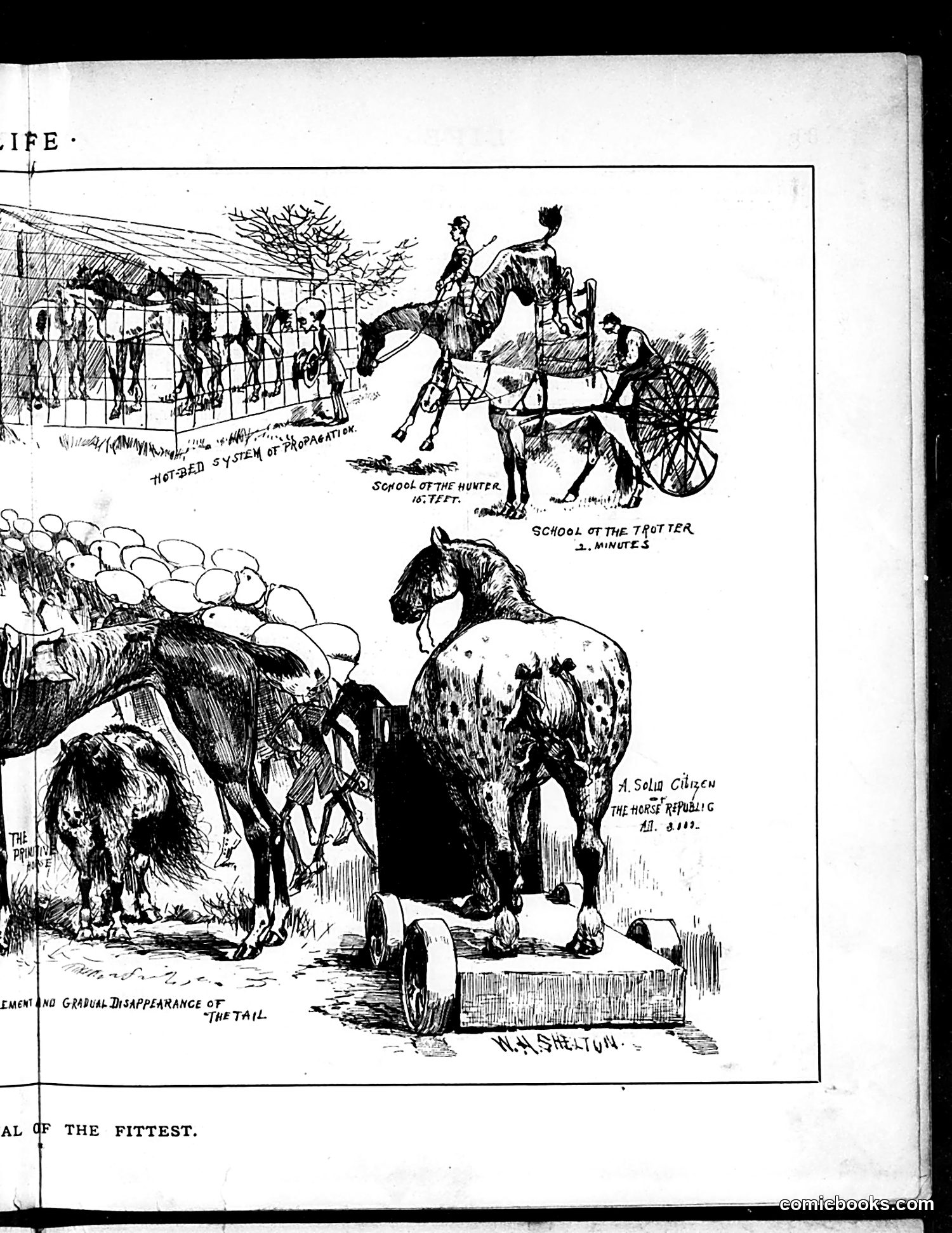 Life — August 7, 1884 — page 9: Life, 1884-08-07