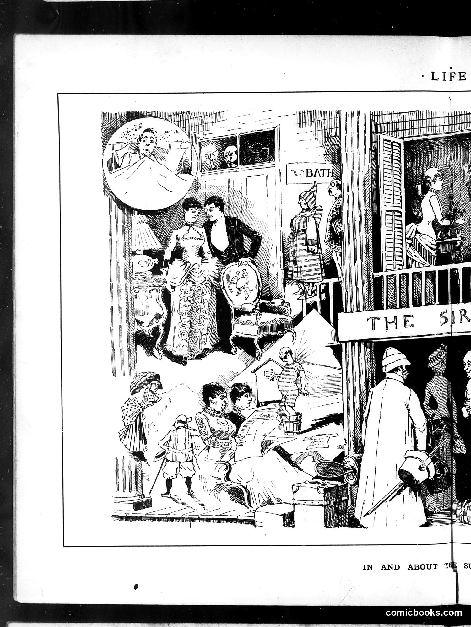 Life — August 21, 1884 — page 8: Life, 1884-08-21