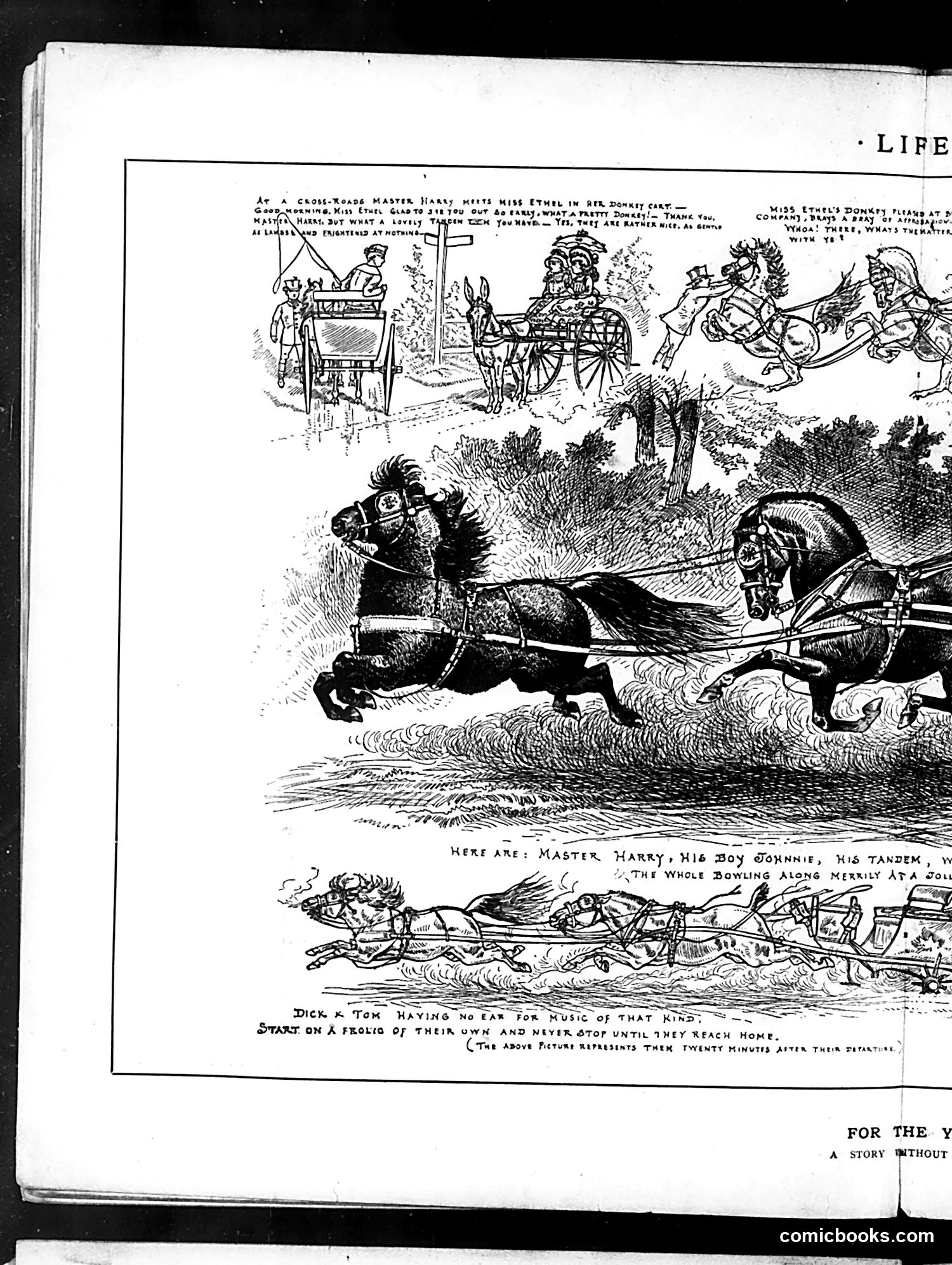 Life — September 11, 1884 — page 8: Life, 1884-09-11