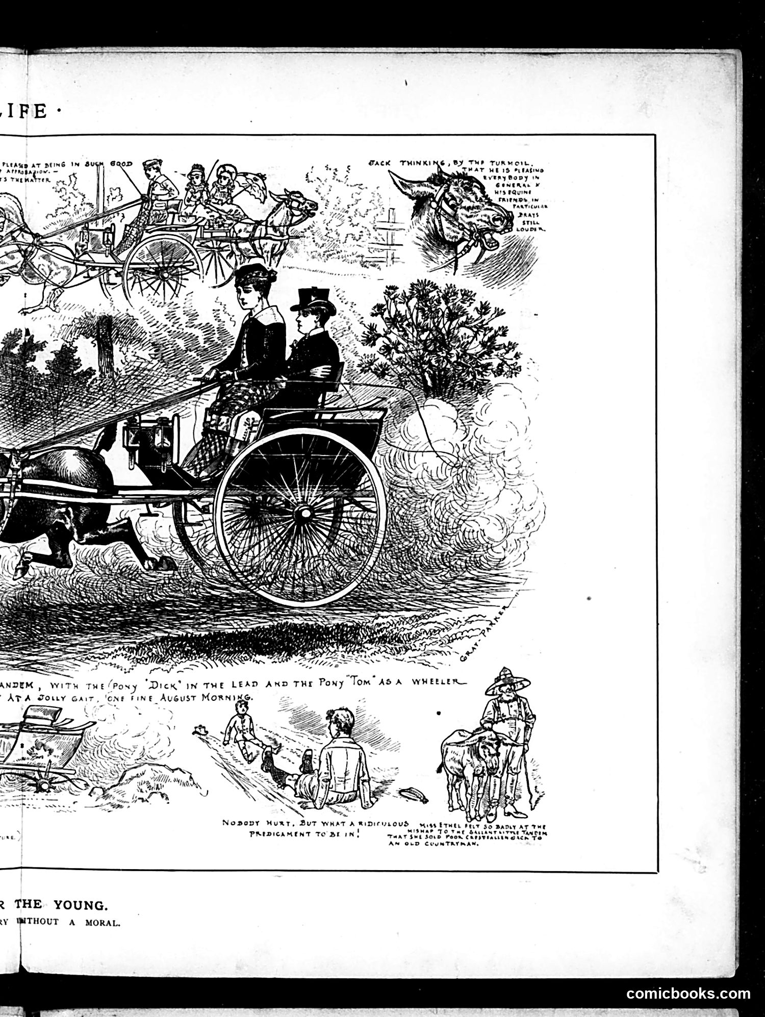 Life — September 11, 1884 — page 9: Life, 1884-09-11