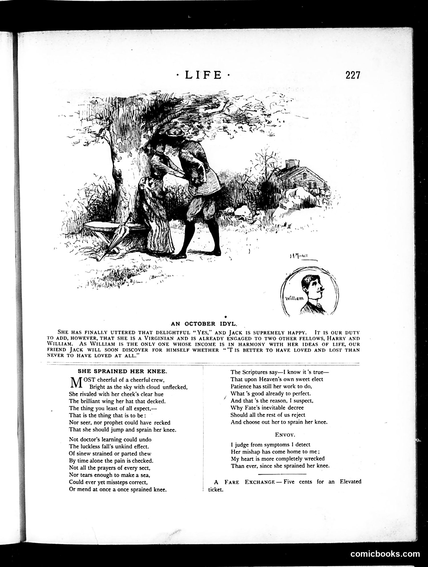 Life — October 23, 1884 — page 3: Life, 1884-10-23