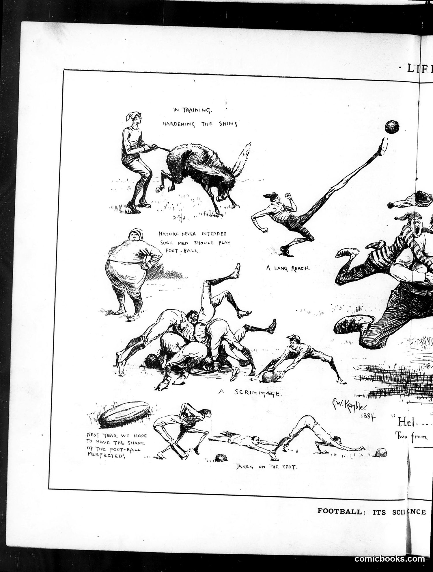 Life — November 20, 1884 — page 8: Life, 1884-11-20