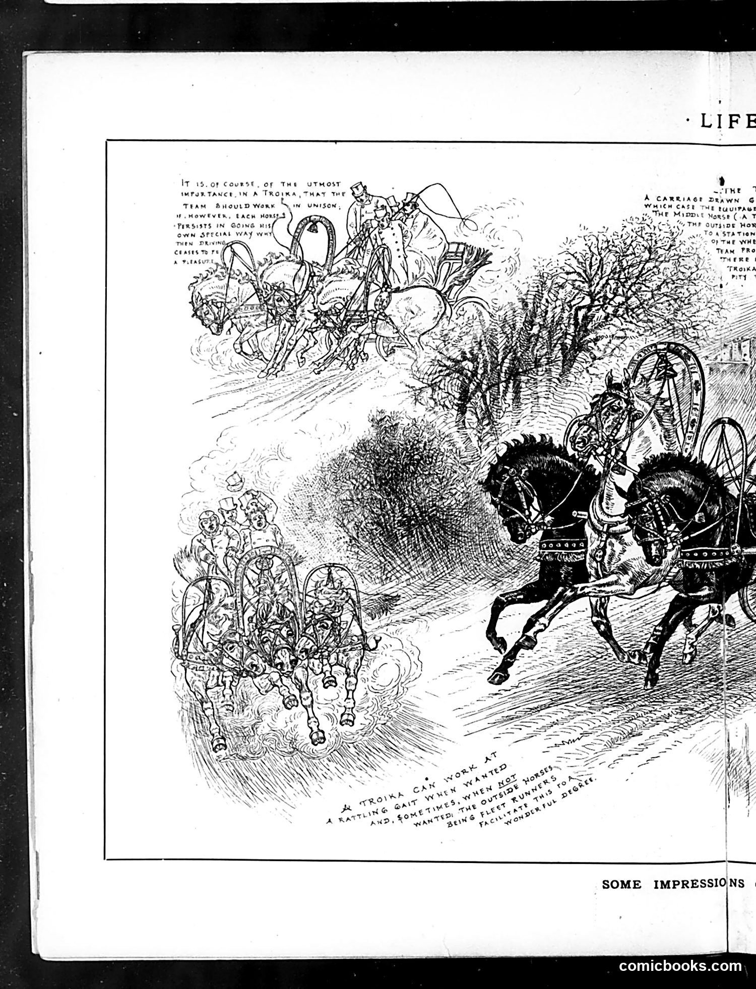 Life — December 4, 1884 — page 8: Life, 1884-12-04