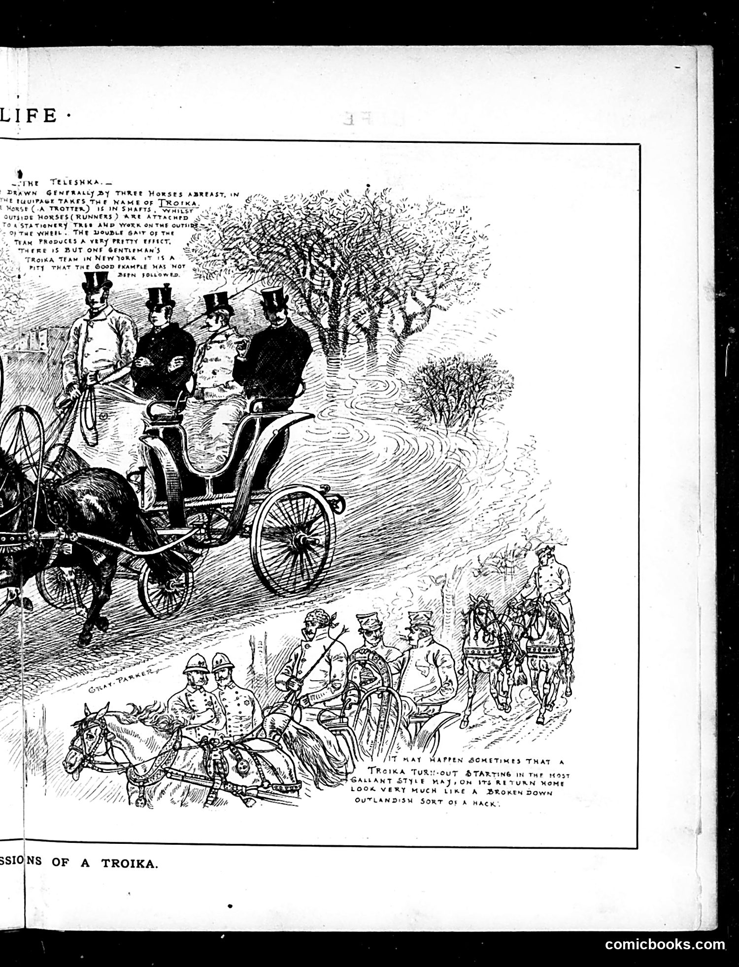 Life — December 4, 1884 — page 9: Life, 1884-12-04