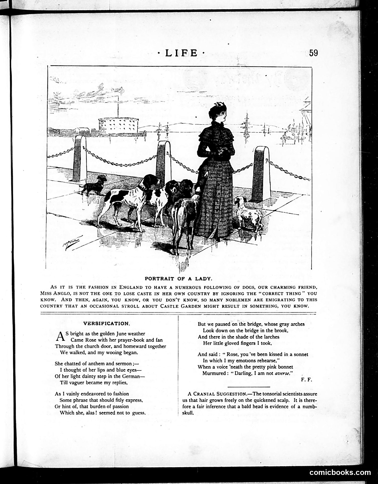 Life — January 29, 1885 — page 3: Life, 1885-01-29