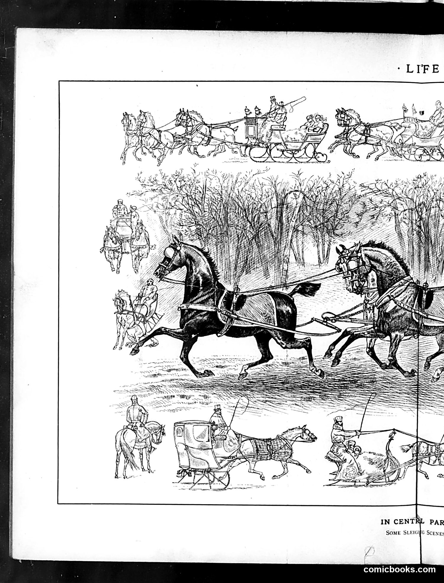 Life — January 29, 1885 — page 8: Life, 1885-01-29