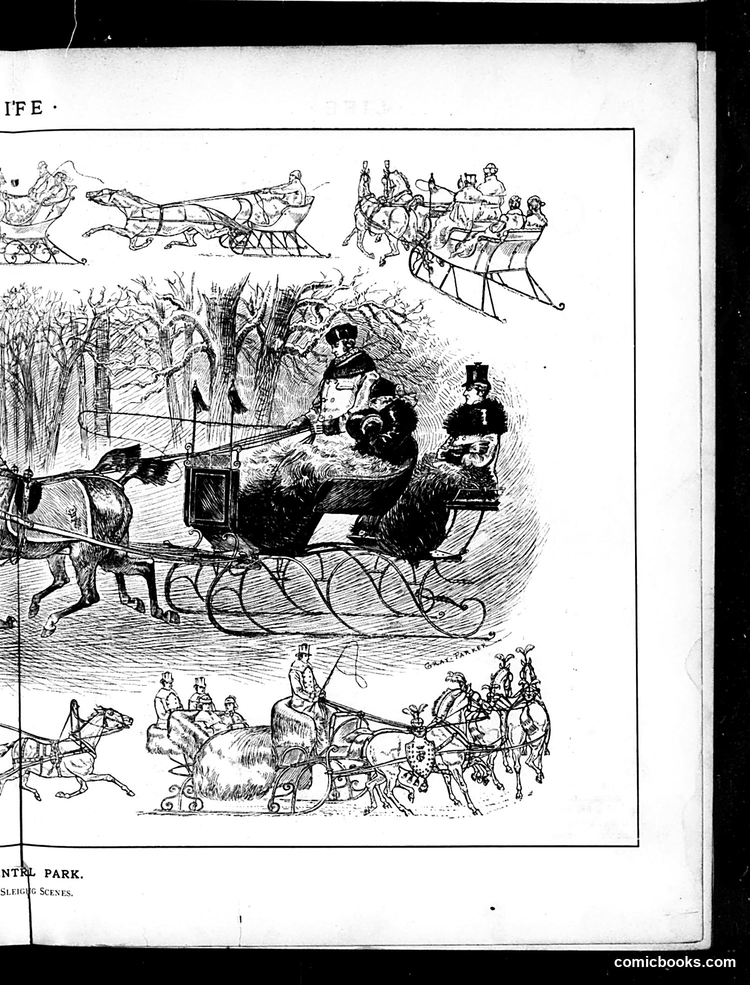 Life — January 29, 1885 — page 9: Life, 1885-01-29