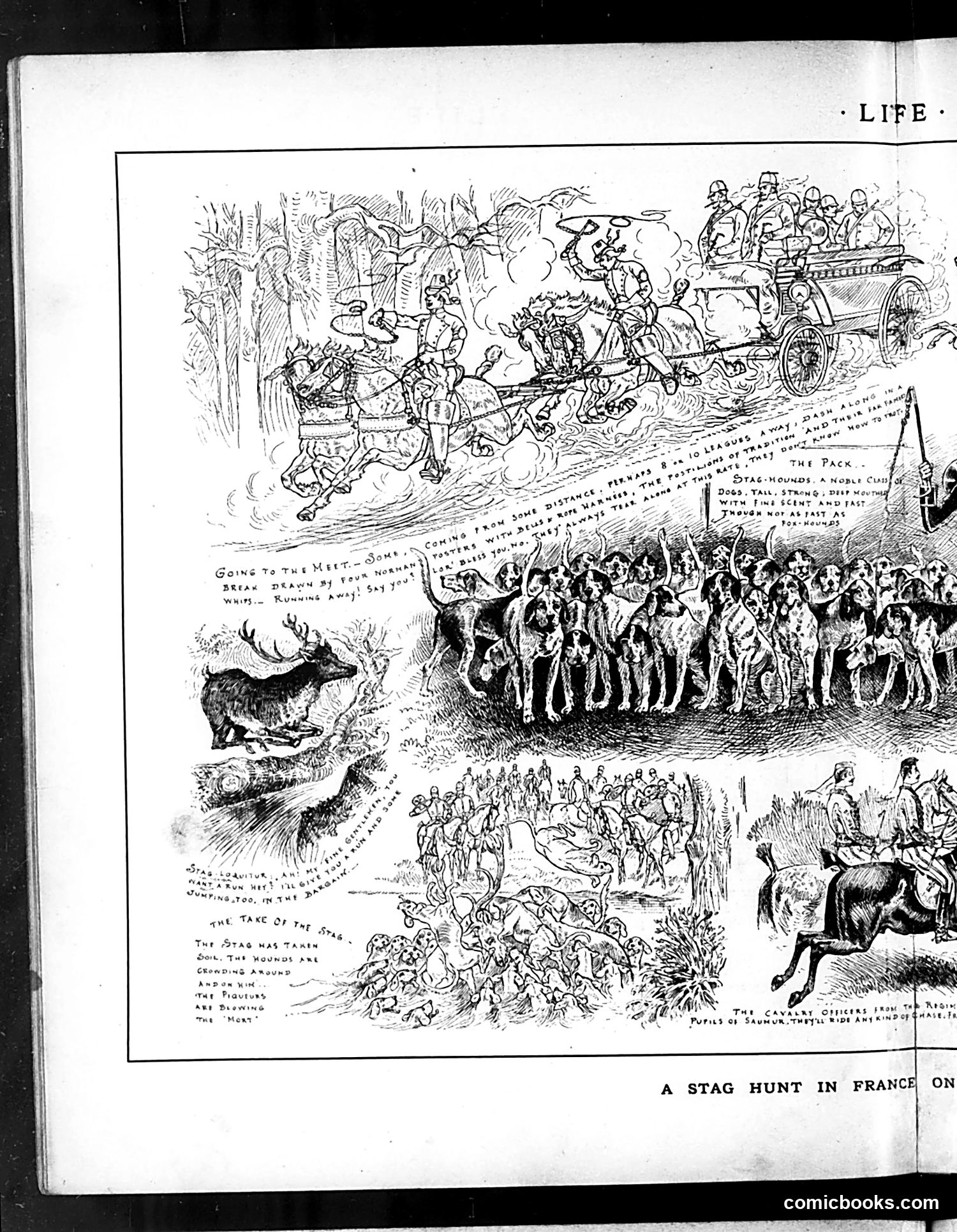 Life — February 19, 1885 — page 8: Life, 1885-02-19