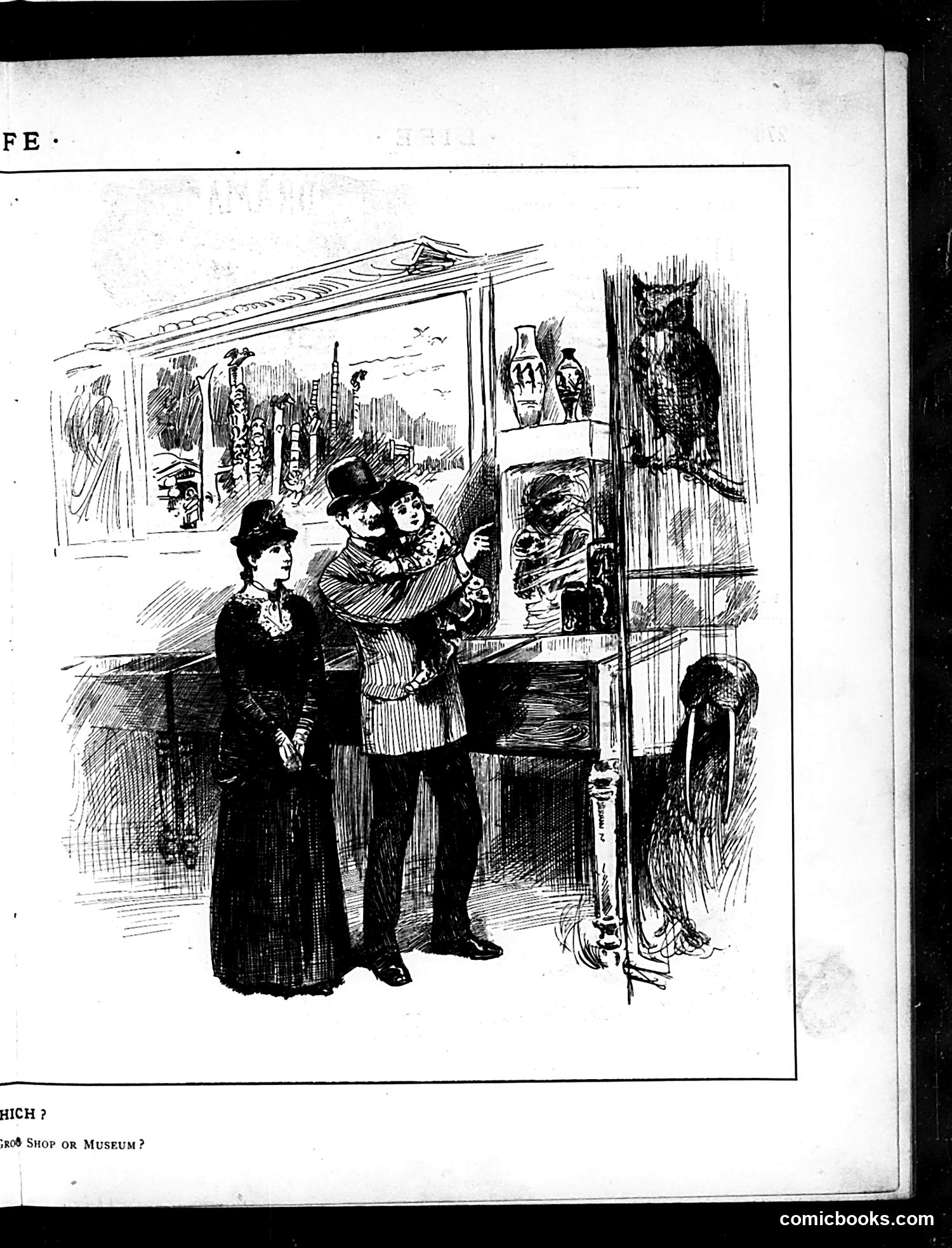 Life — May 14, 1885 — page 9: Life, 1885-05-14