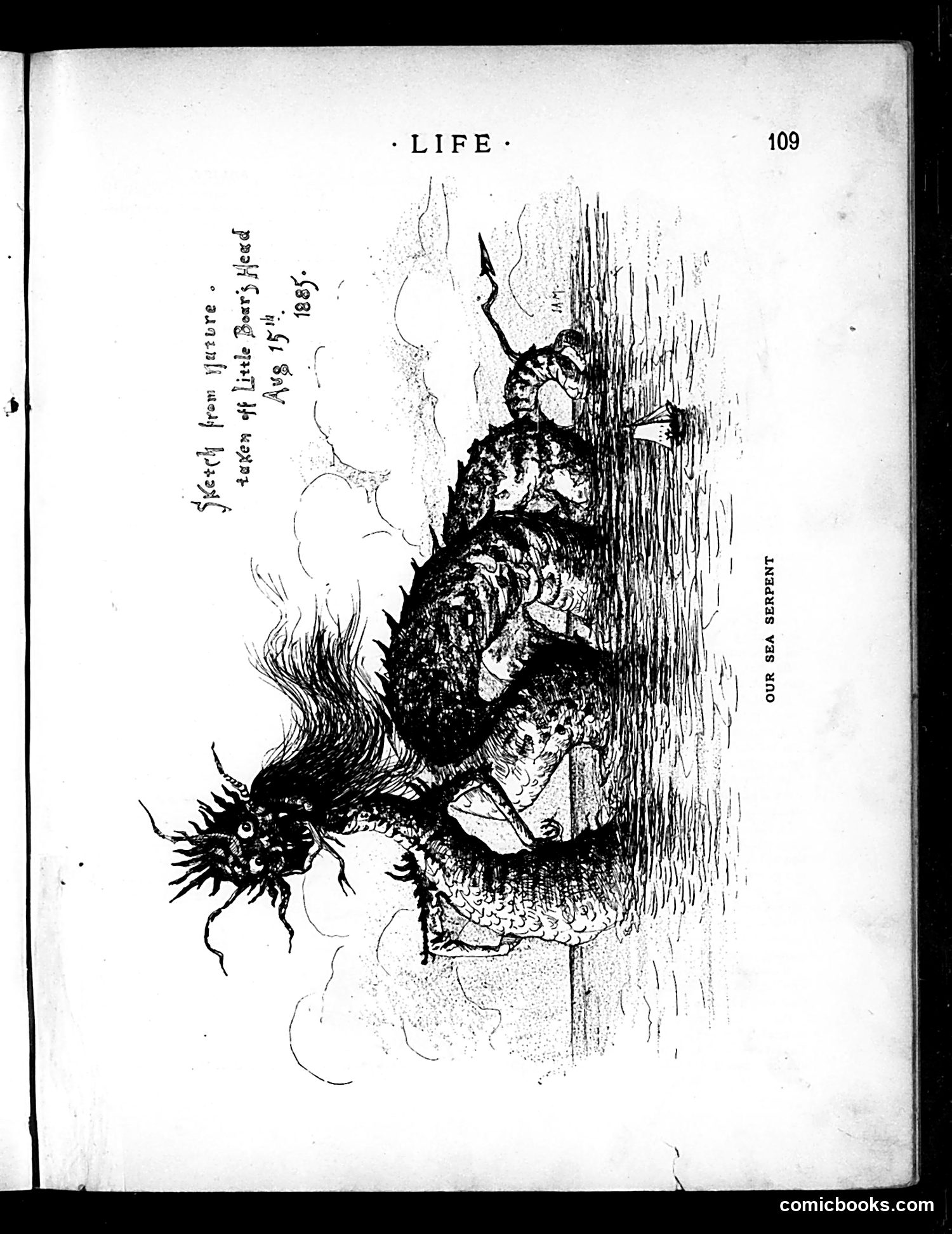 Life — August 20, 1885 — page 11: Life, 1885-08-20
