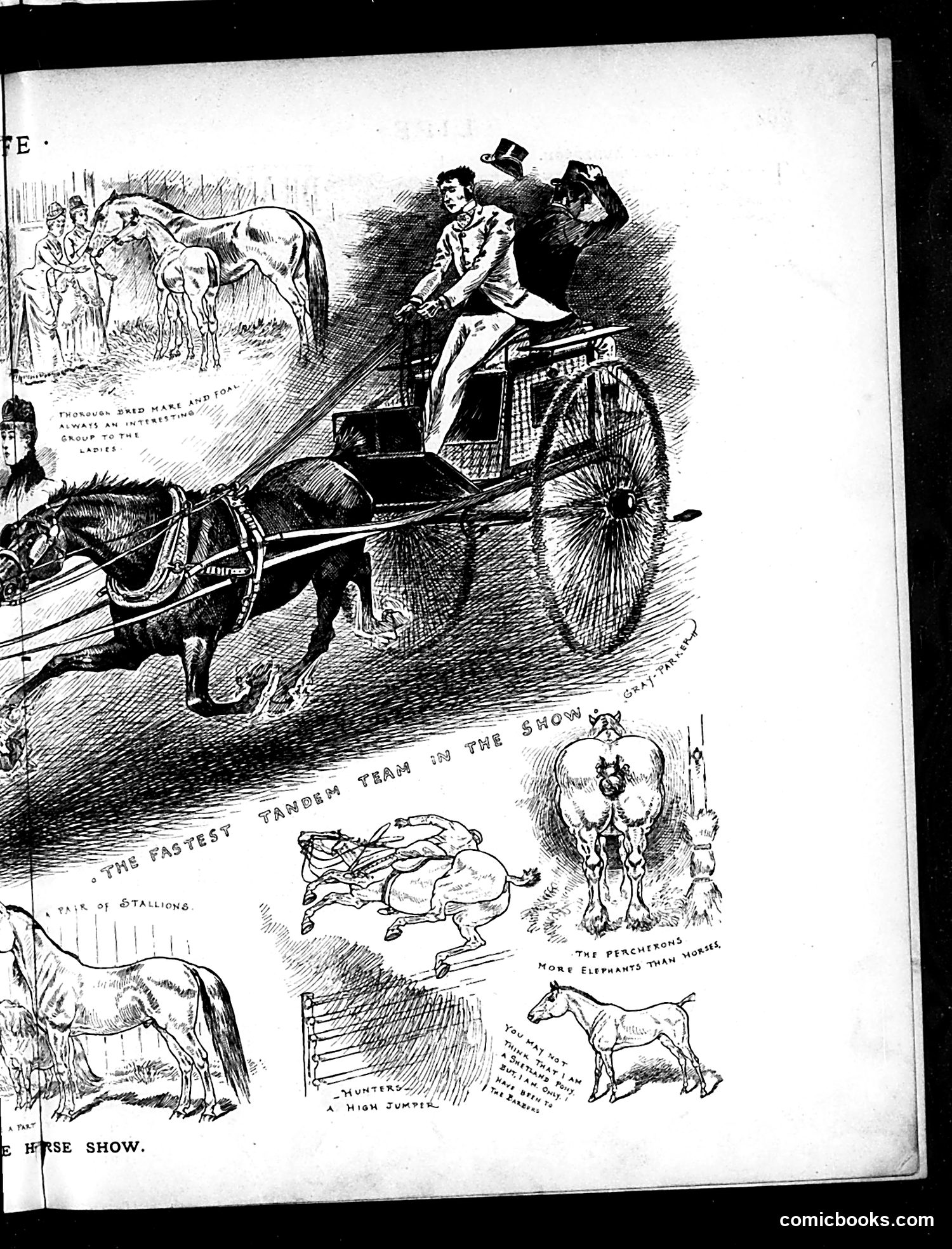 Life — November 5, 1885 — page 9: Life, 1885-11-05