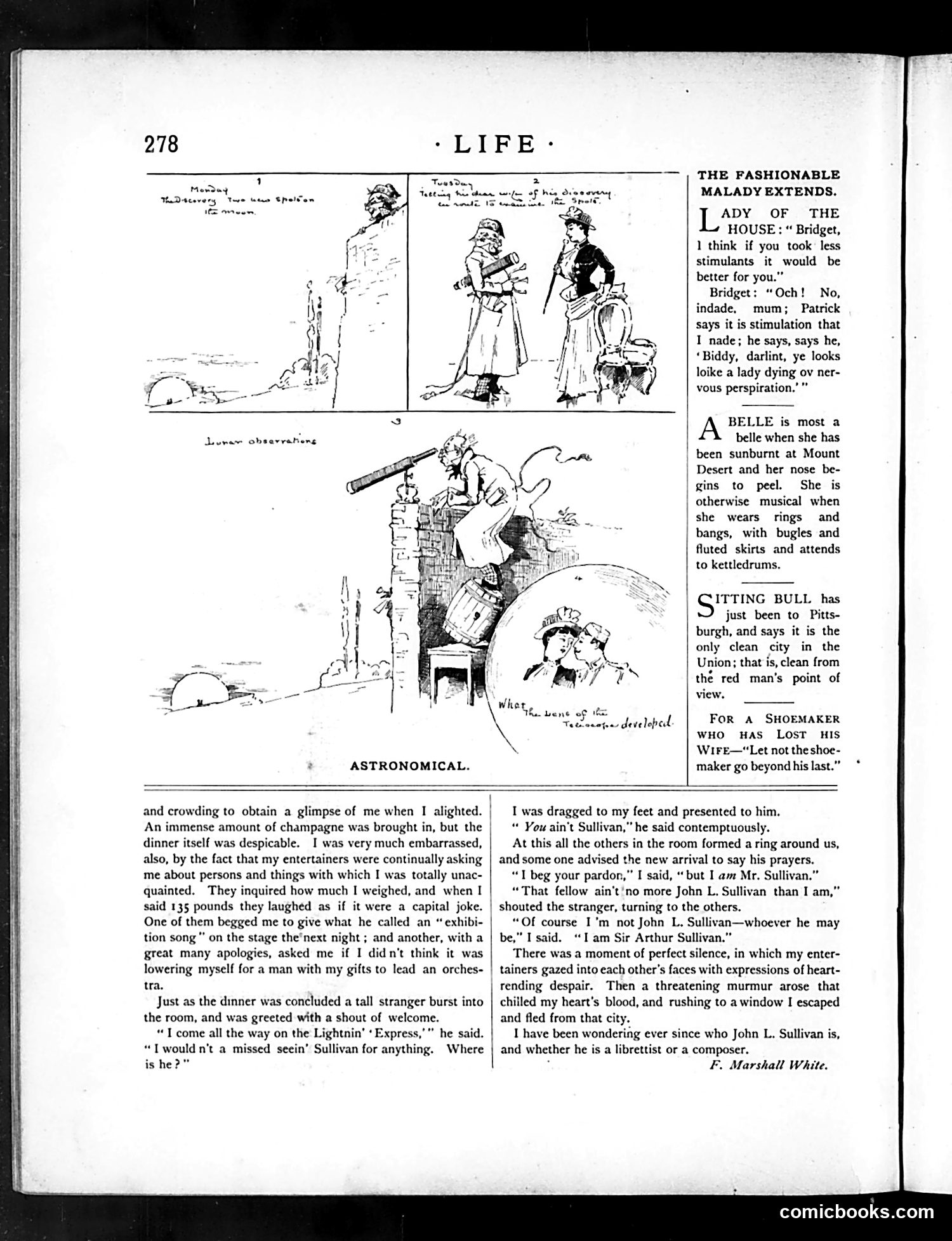Life — November 12, 1885 — page 12: Life, 1885-11-12