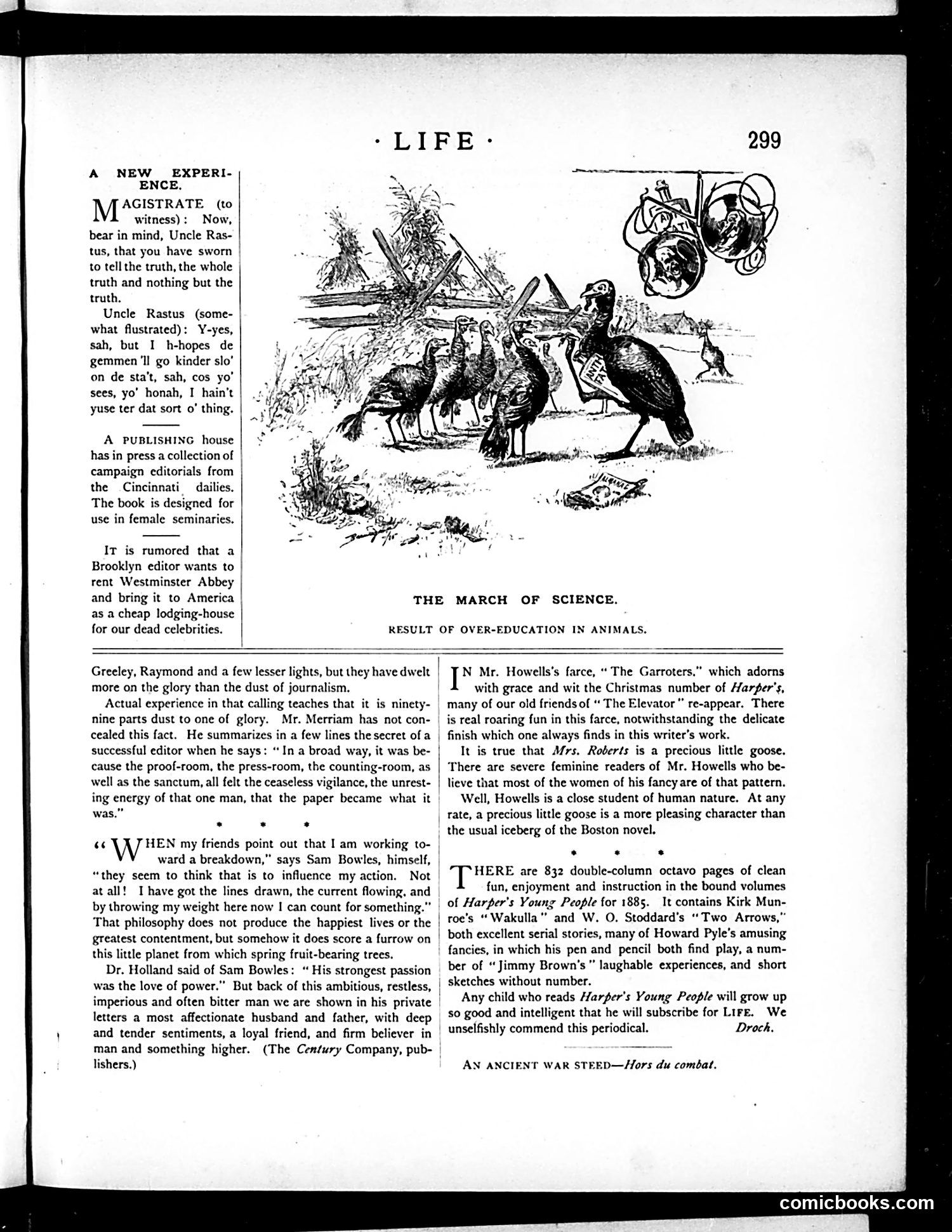 Life — November 26, 1885 — page 5: Life, 1885-11-26