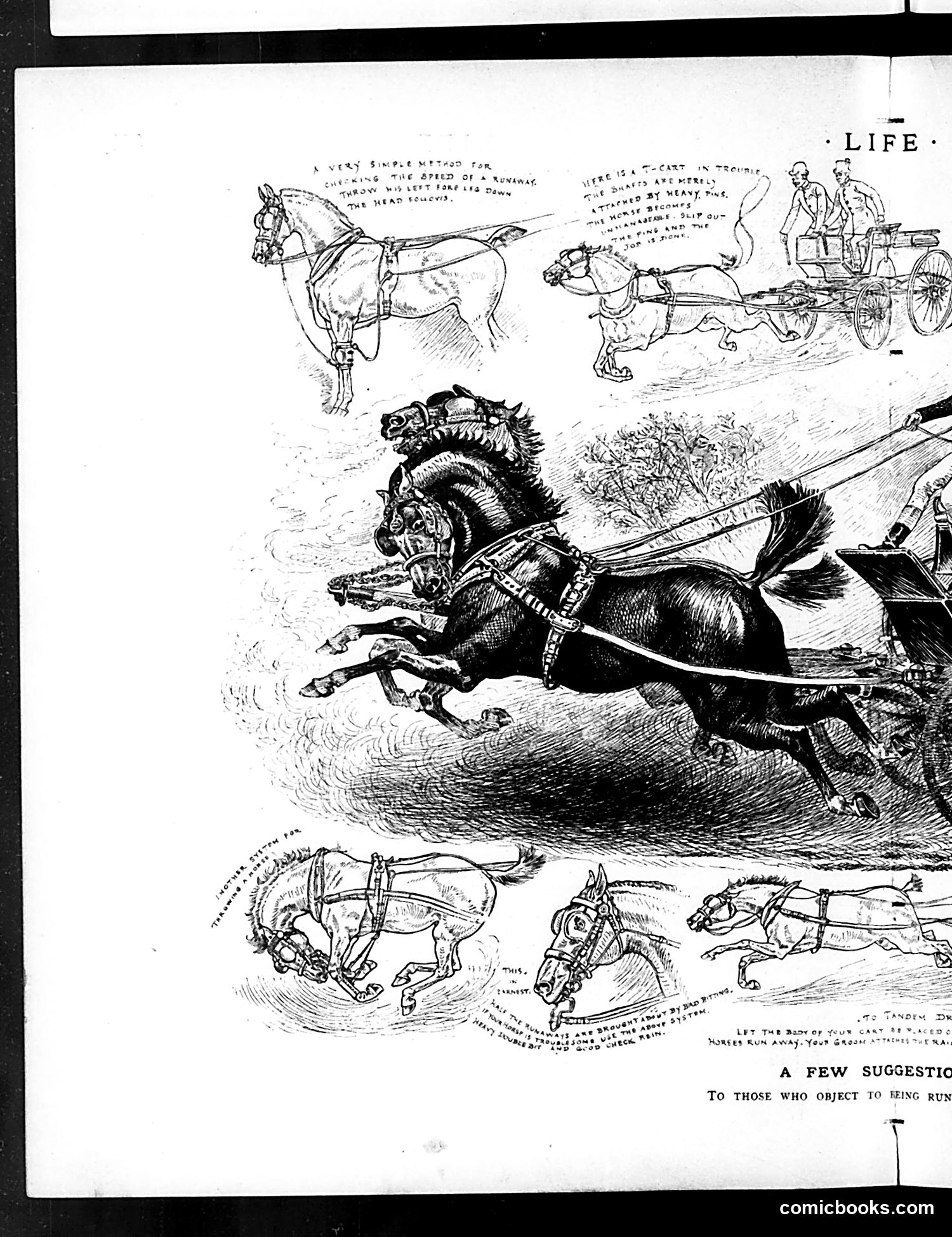 Life — December 17, 1885 — page 8: Life, 1885-12-17