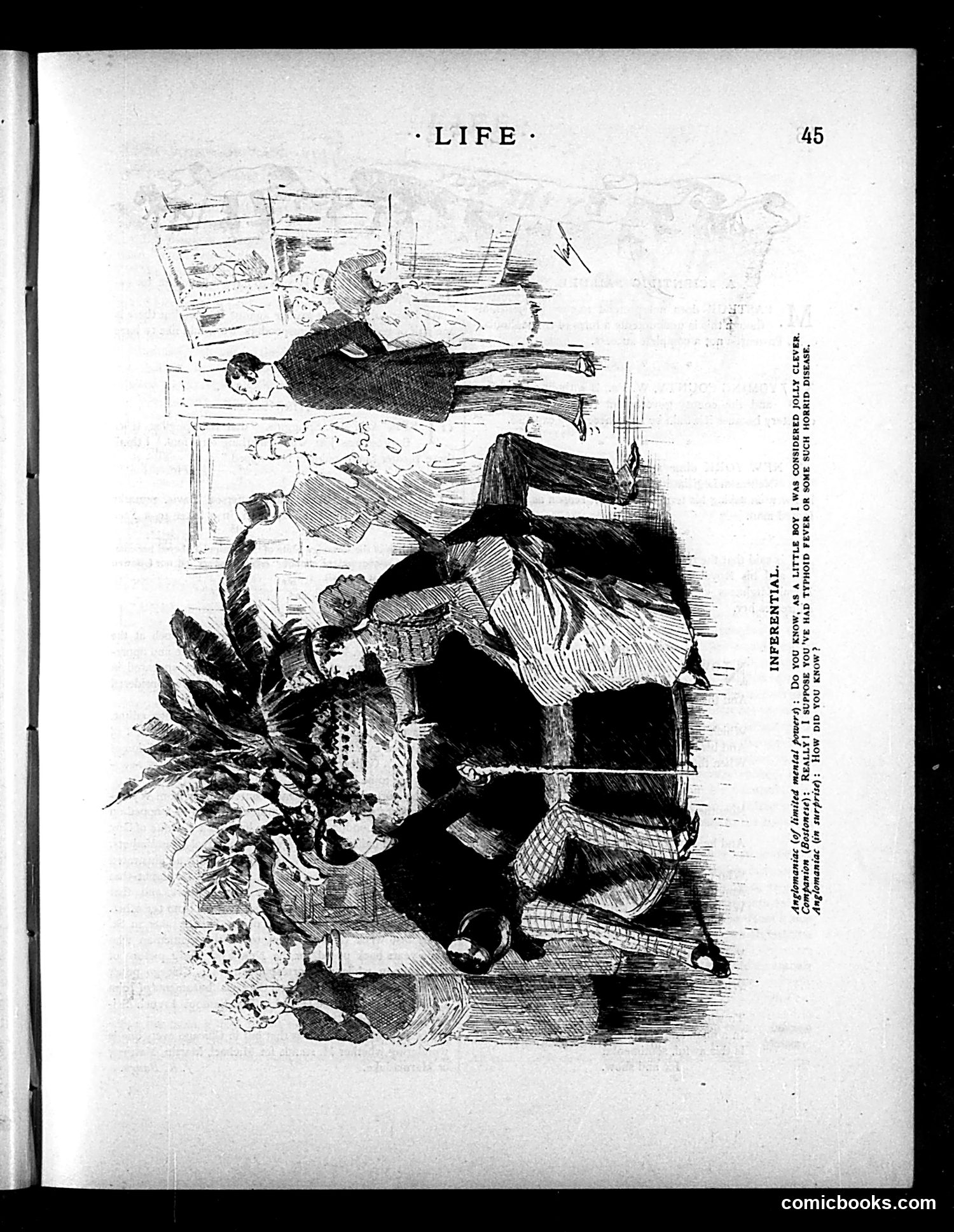 Life — January 21, 1886 — page 3: Life, 1886-01-21