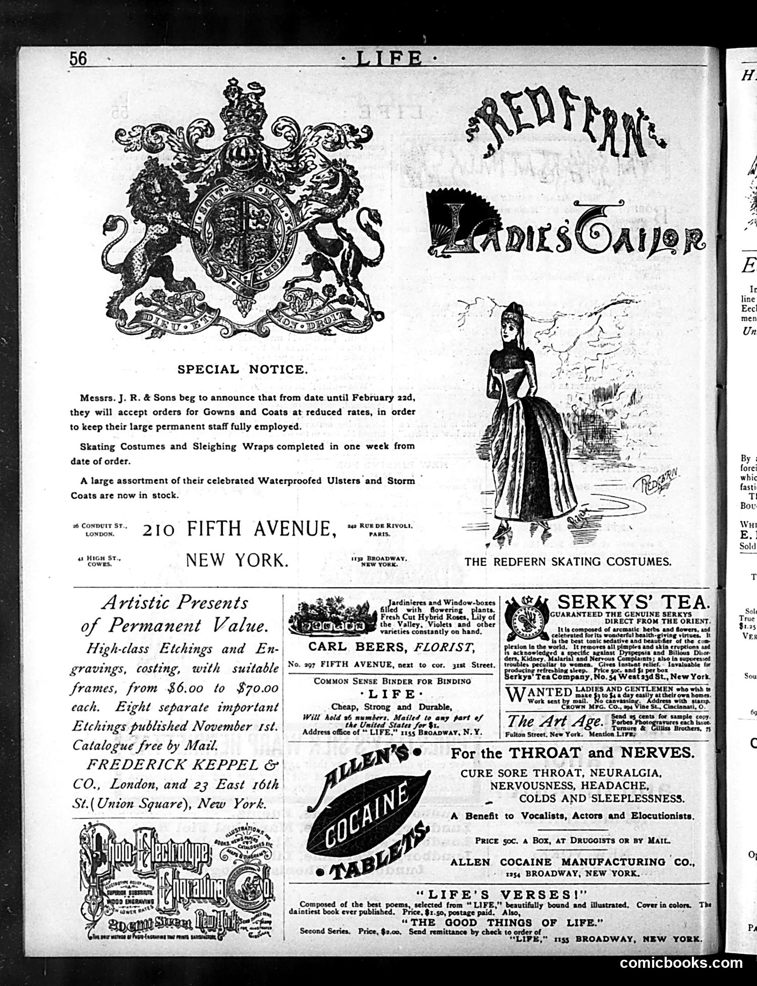 Life — January 21, 1886 — page 14: Life, 1886-01-21