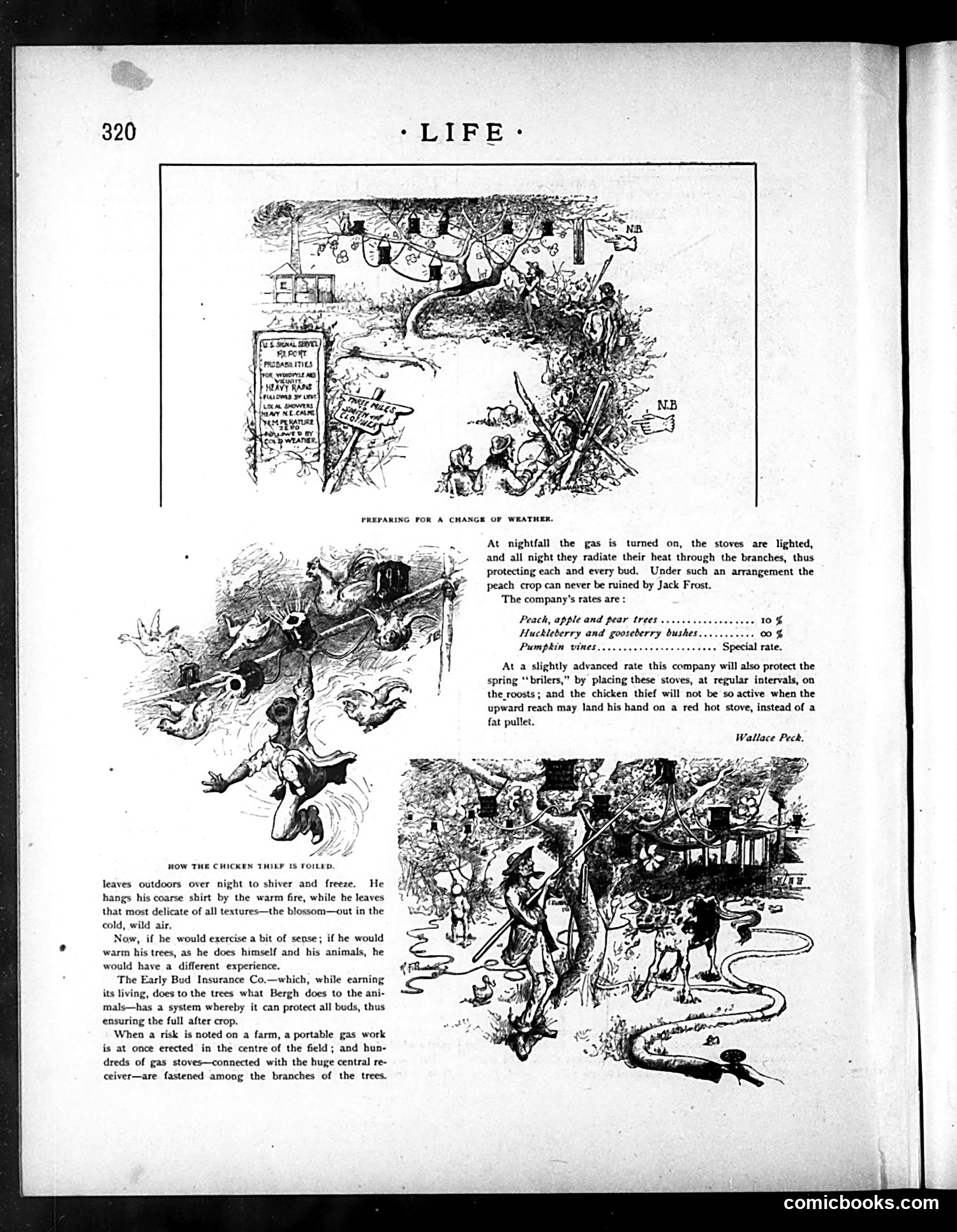 Life — June 3, 1886 — page 12: Life, 1886-06-03