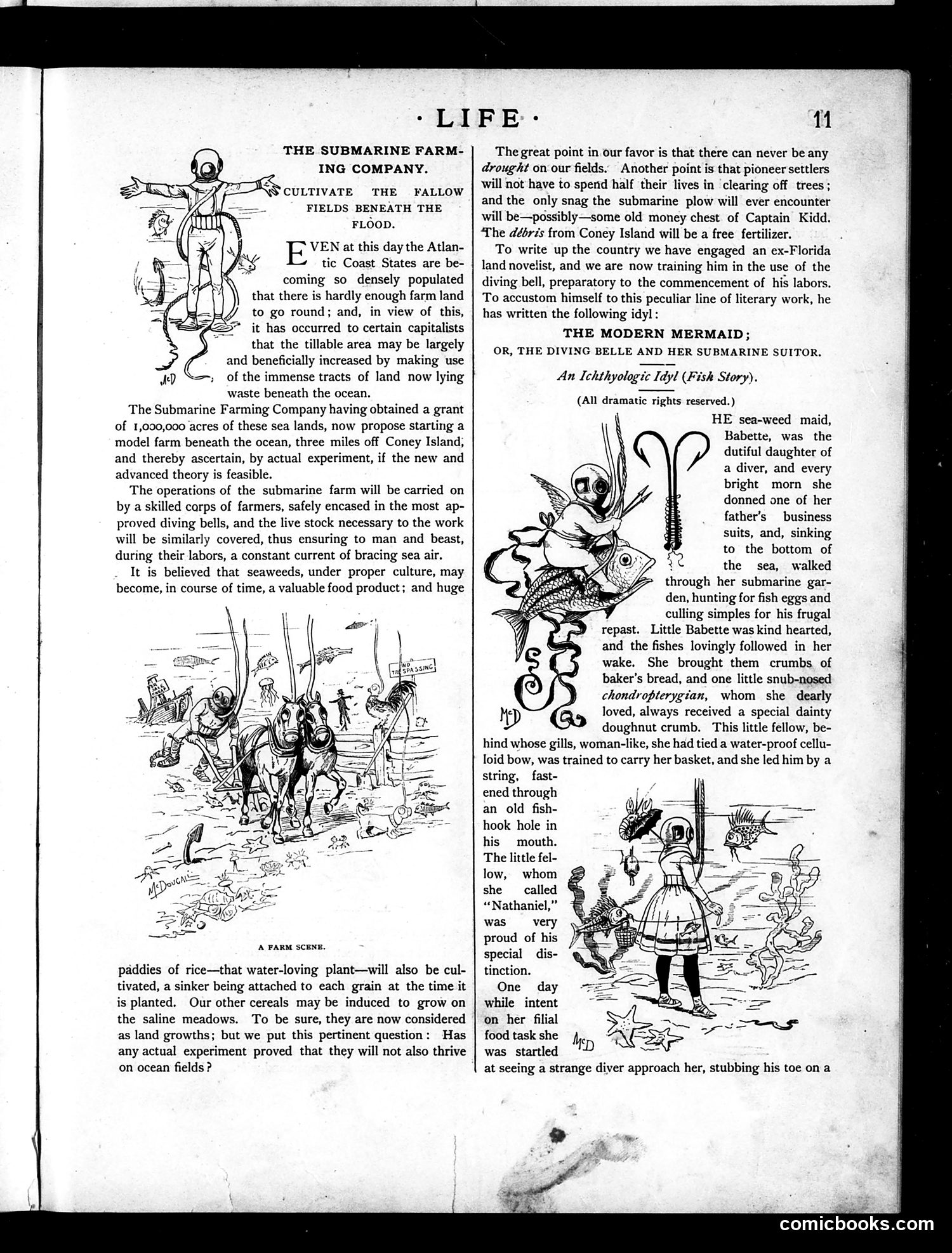 Life — July 1, 1886 — page 11: Life, 1886-07-01