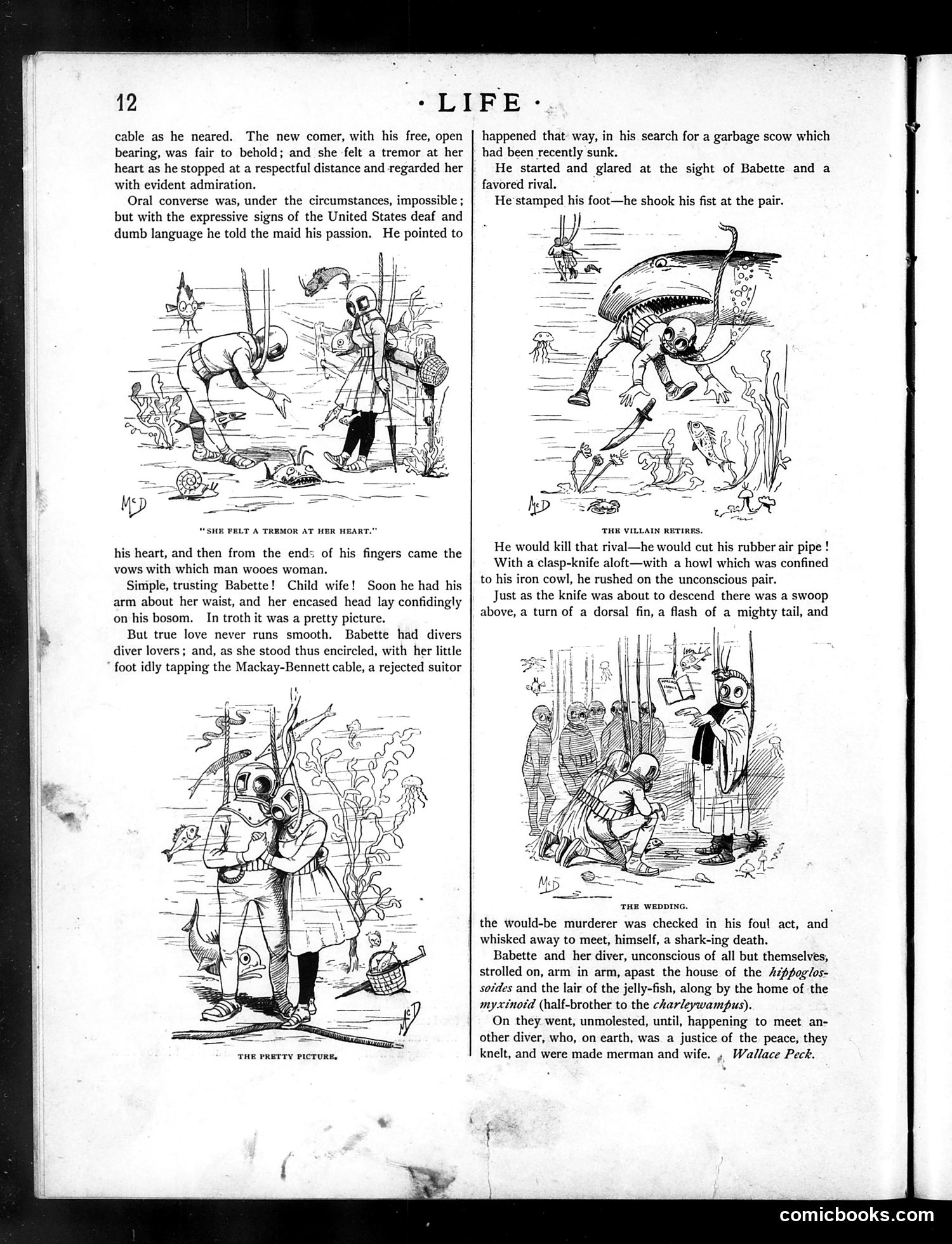 Life — July 1, 1886 — page 12: Life, 1886-07-01