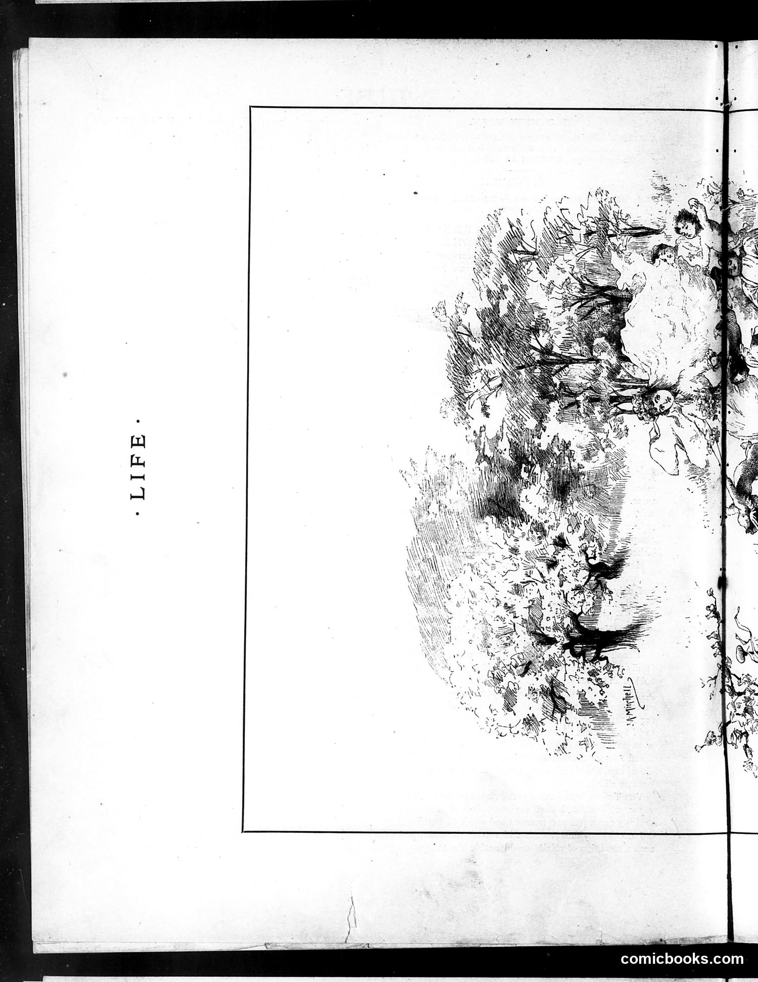 Life — July 8, 1886 — page 8: Life, 1886-07-08