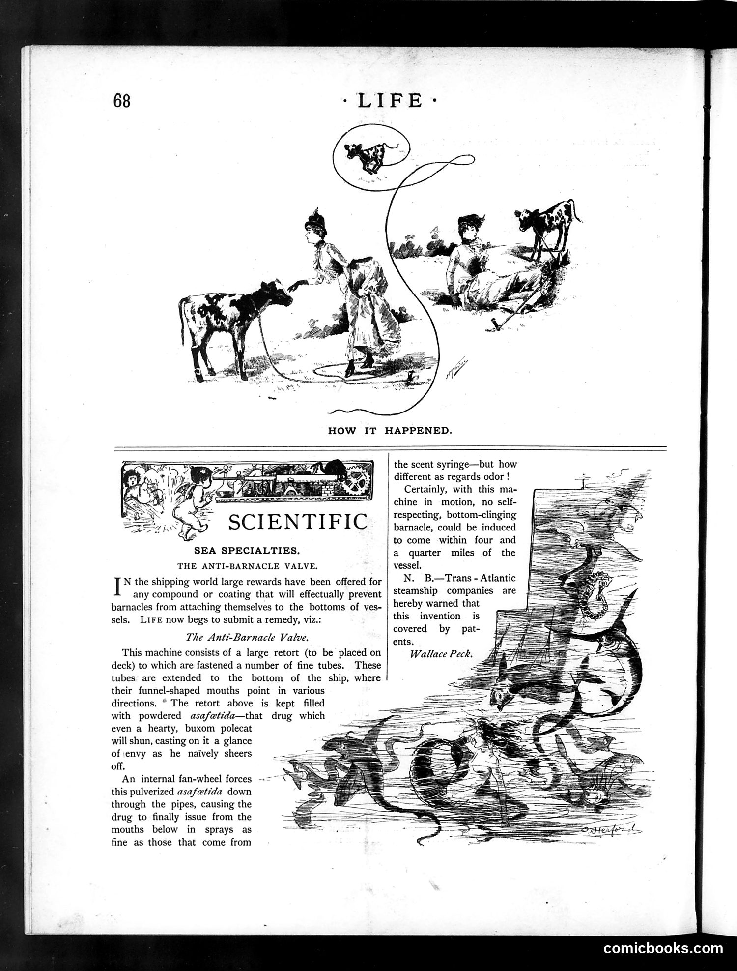 Life — July 29, 1886 — page 12: Life, 1886-07-29
